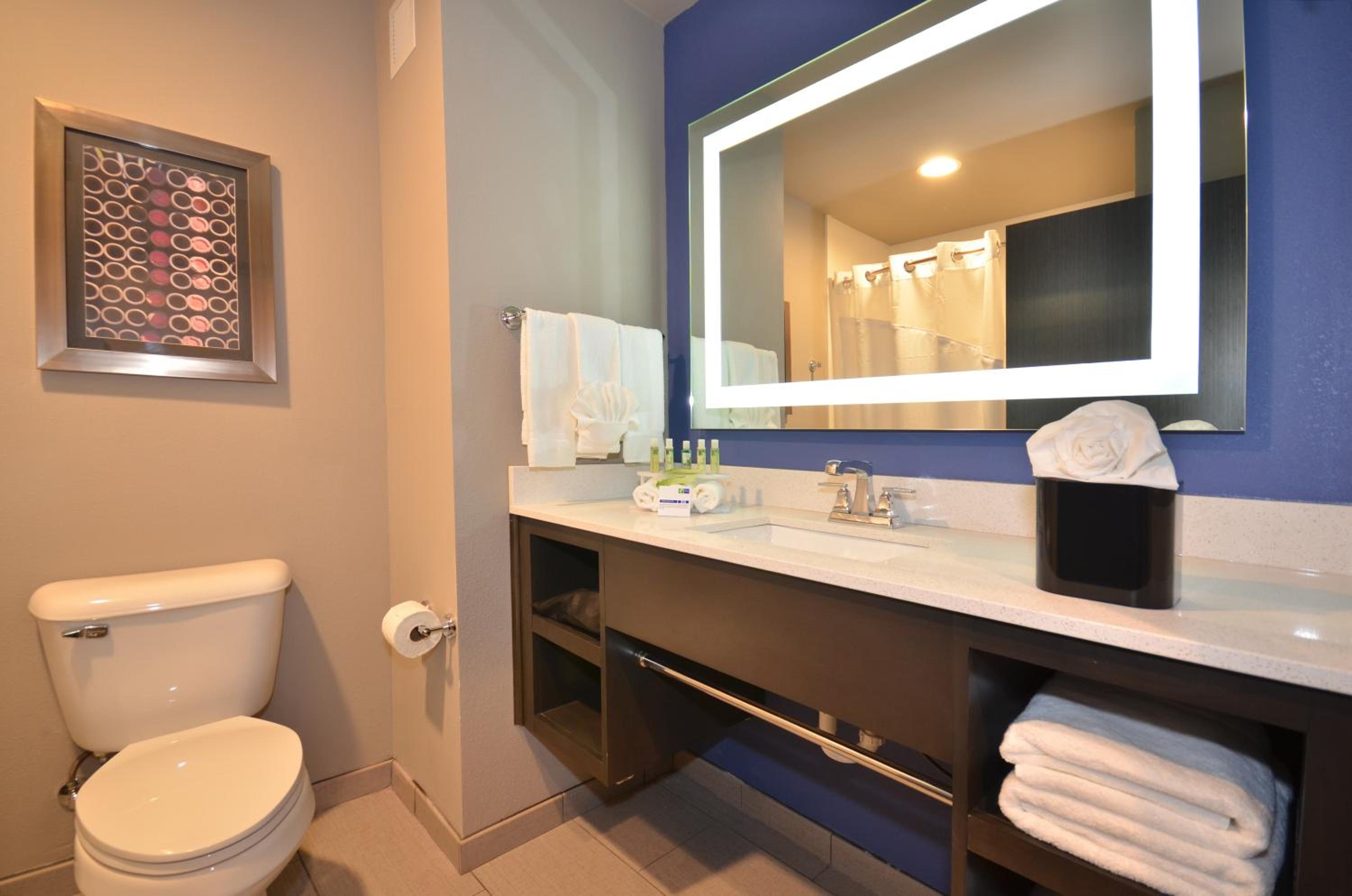 King Room - Mobility Access/Hearing Accessible photo 3