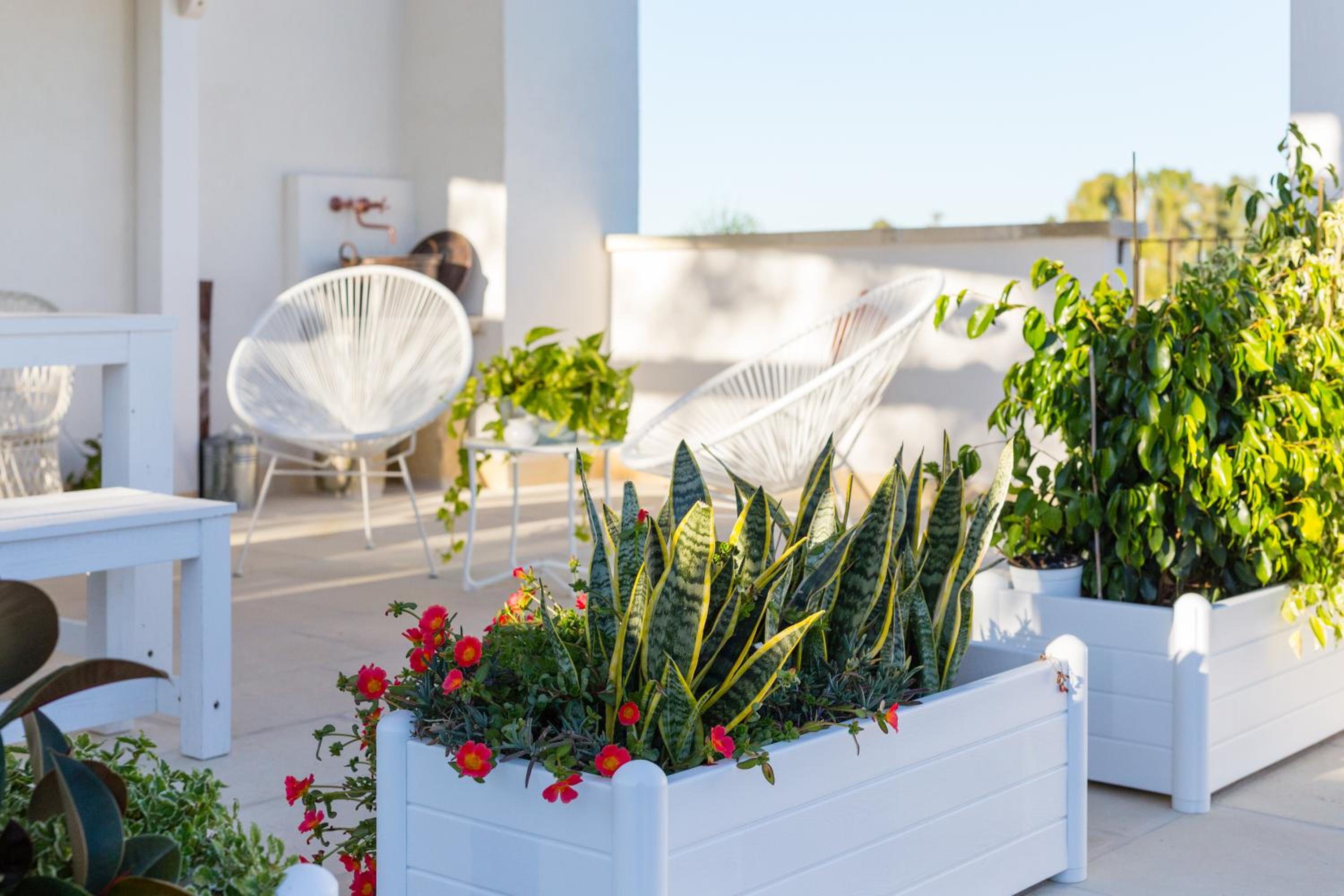 Suite with Terrace photo 2