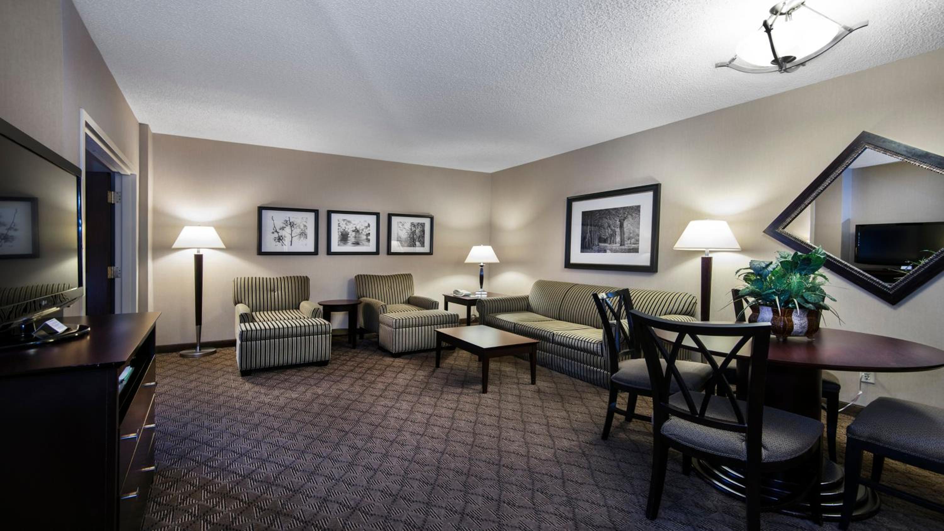 One-Bedroom Suite with Sofa Bed - Photo 9