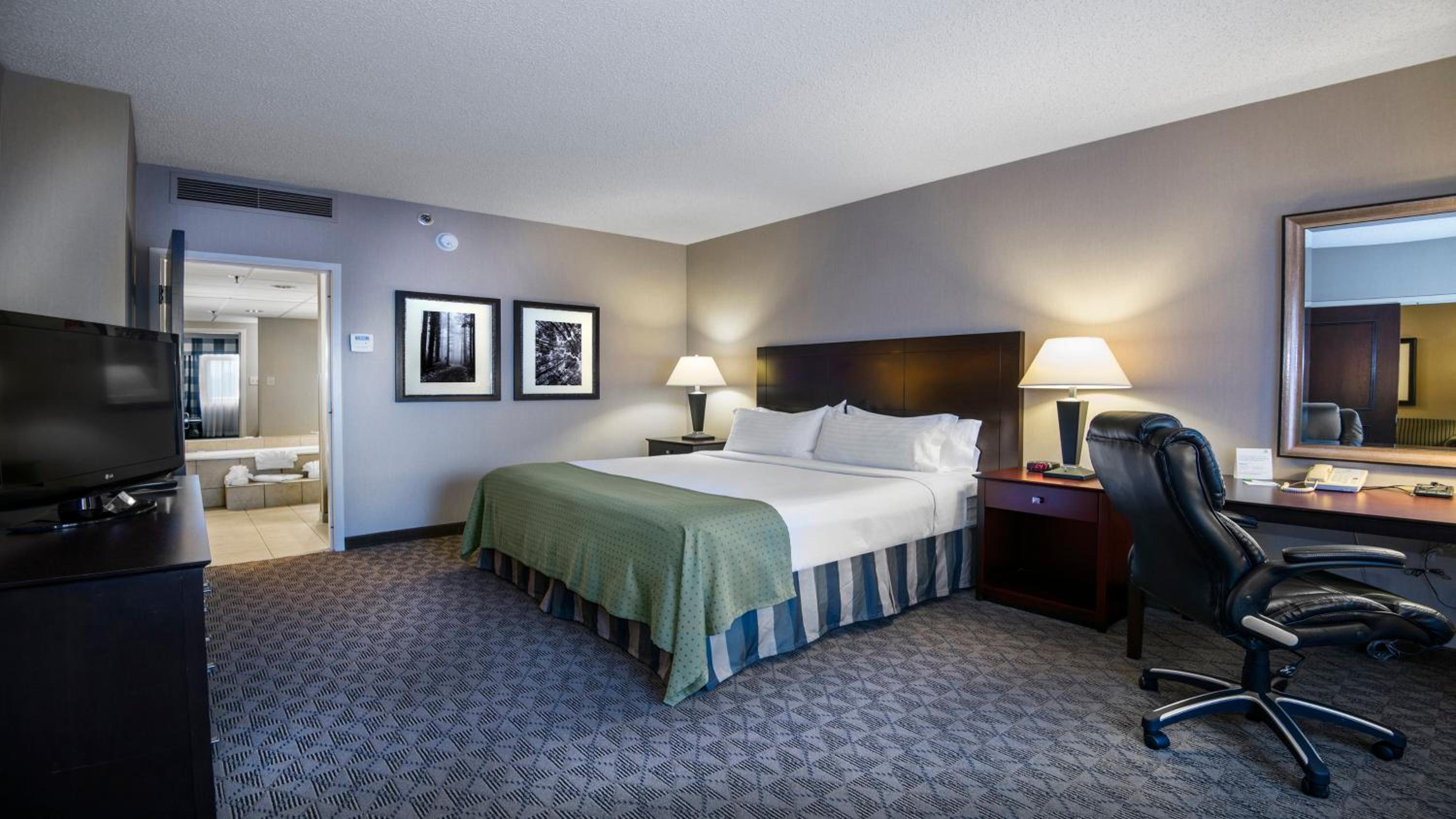 King Suite - Disability Access - Photo 2