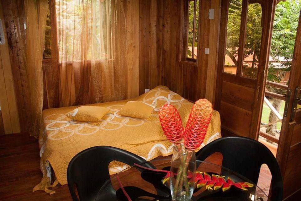 One-Bedroom House photo 1