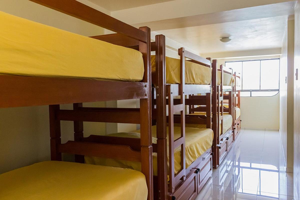 Bunk Bed in Mixed Dormitory Room