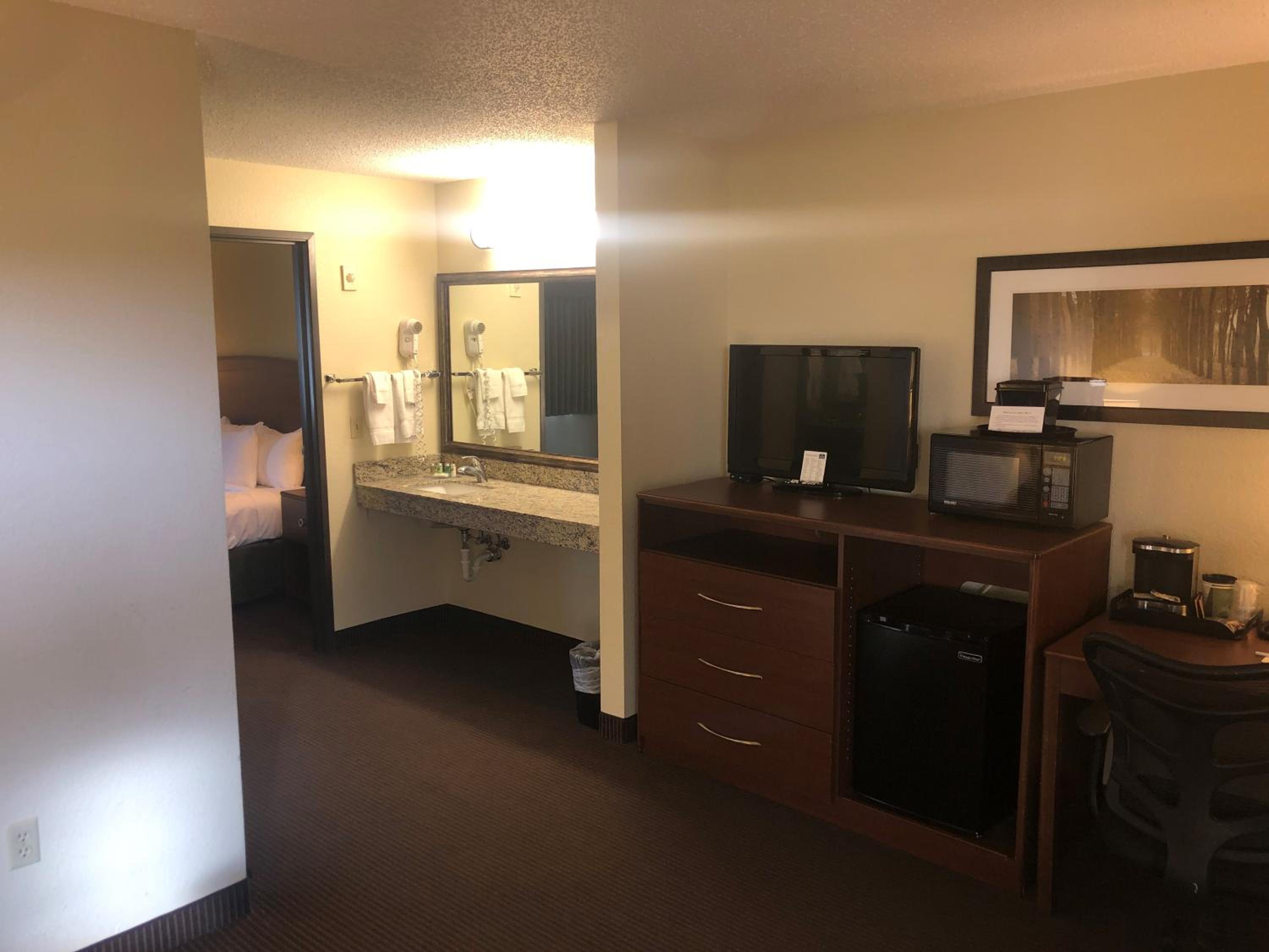 One-Bedroom Suite photo 1