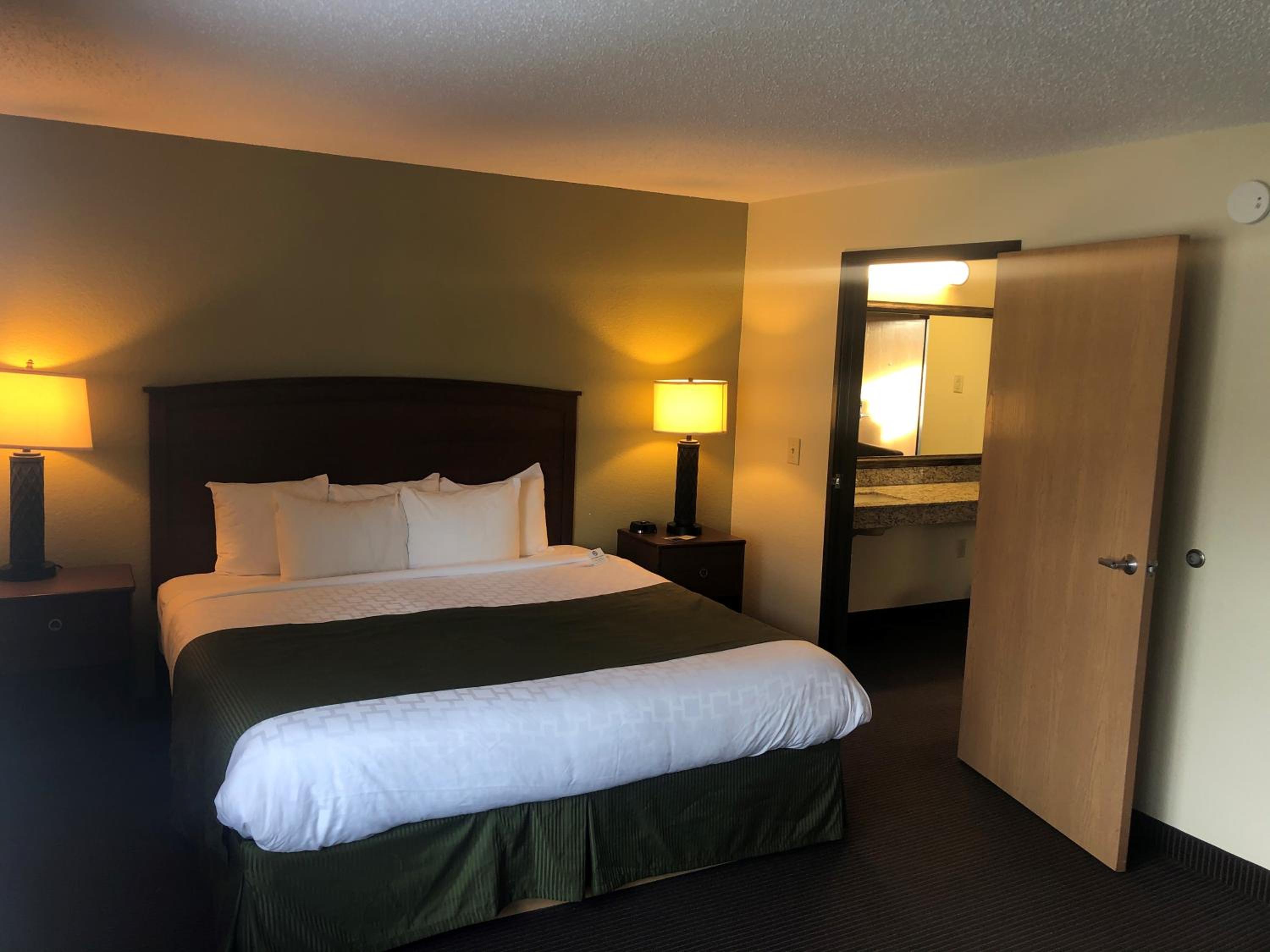 One-Bedroom Suite photo 2