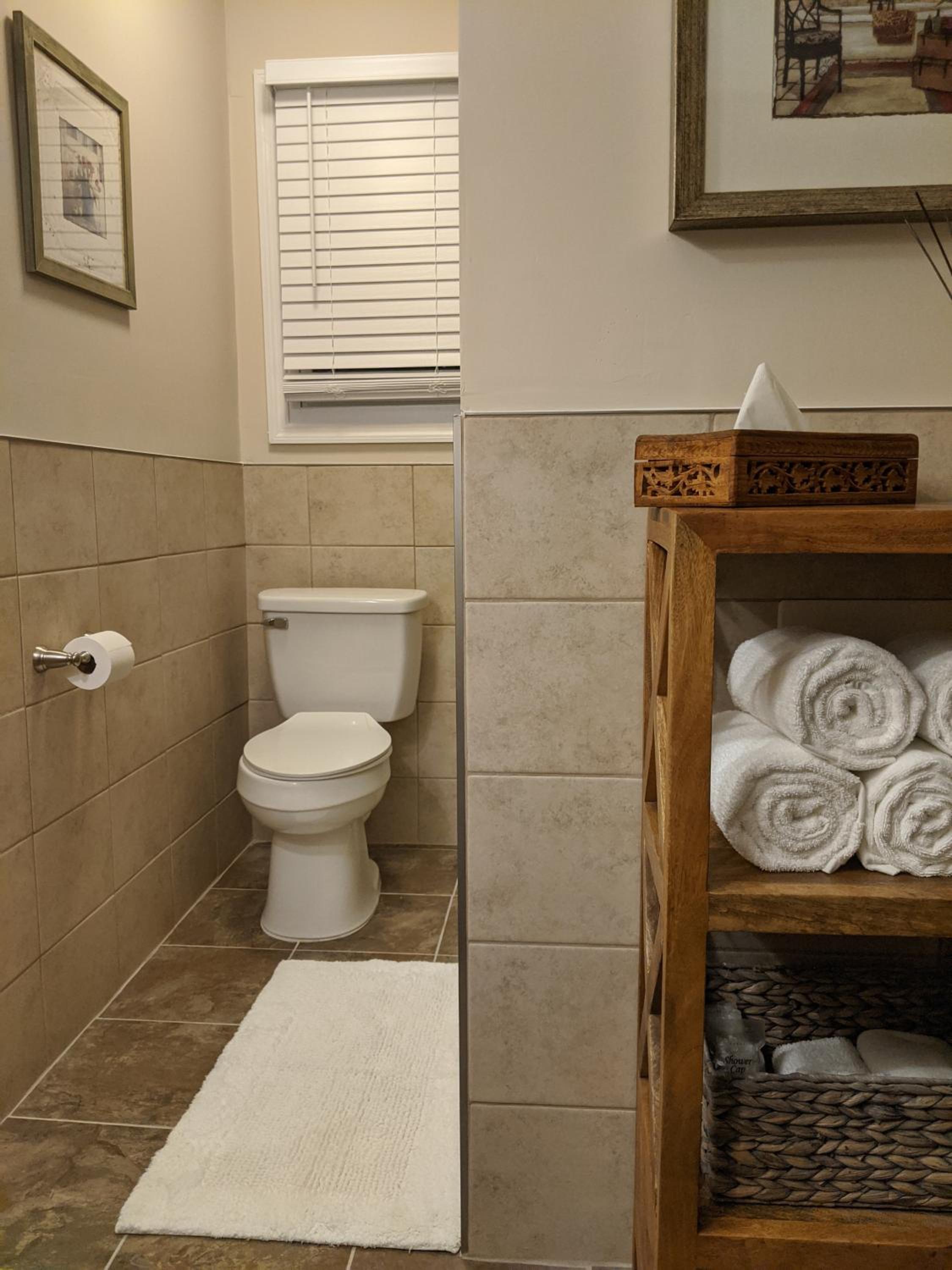 Deluxe Queen Suite - Photo 10