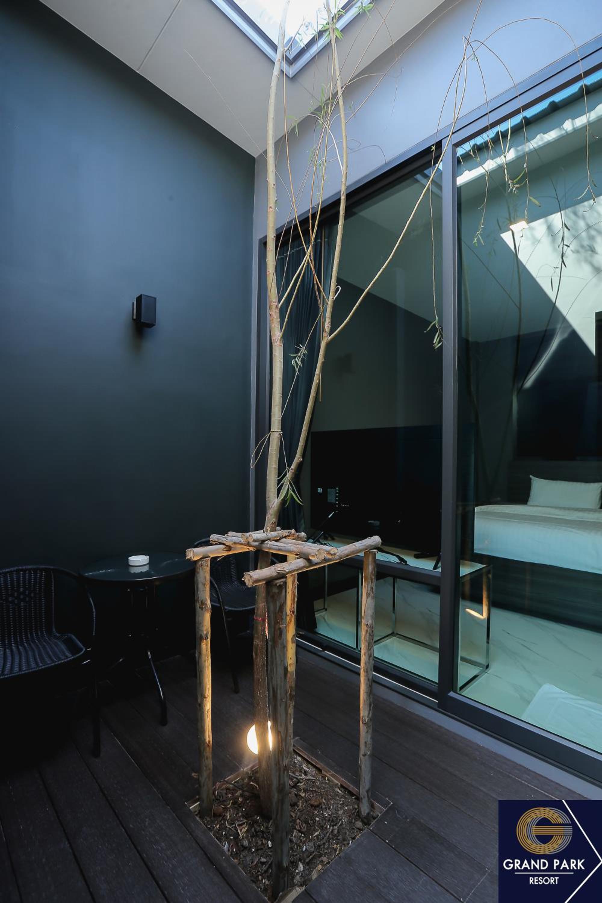 King Studio - Photo 3