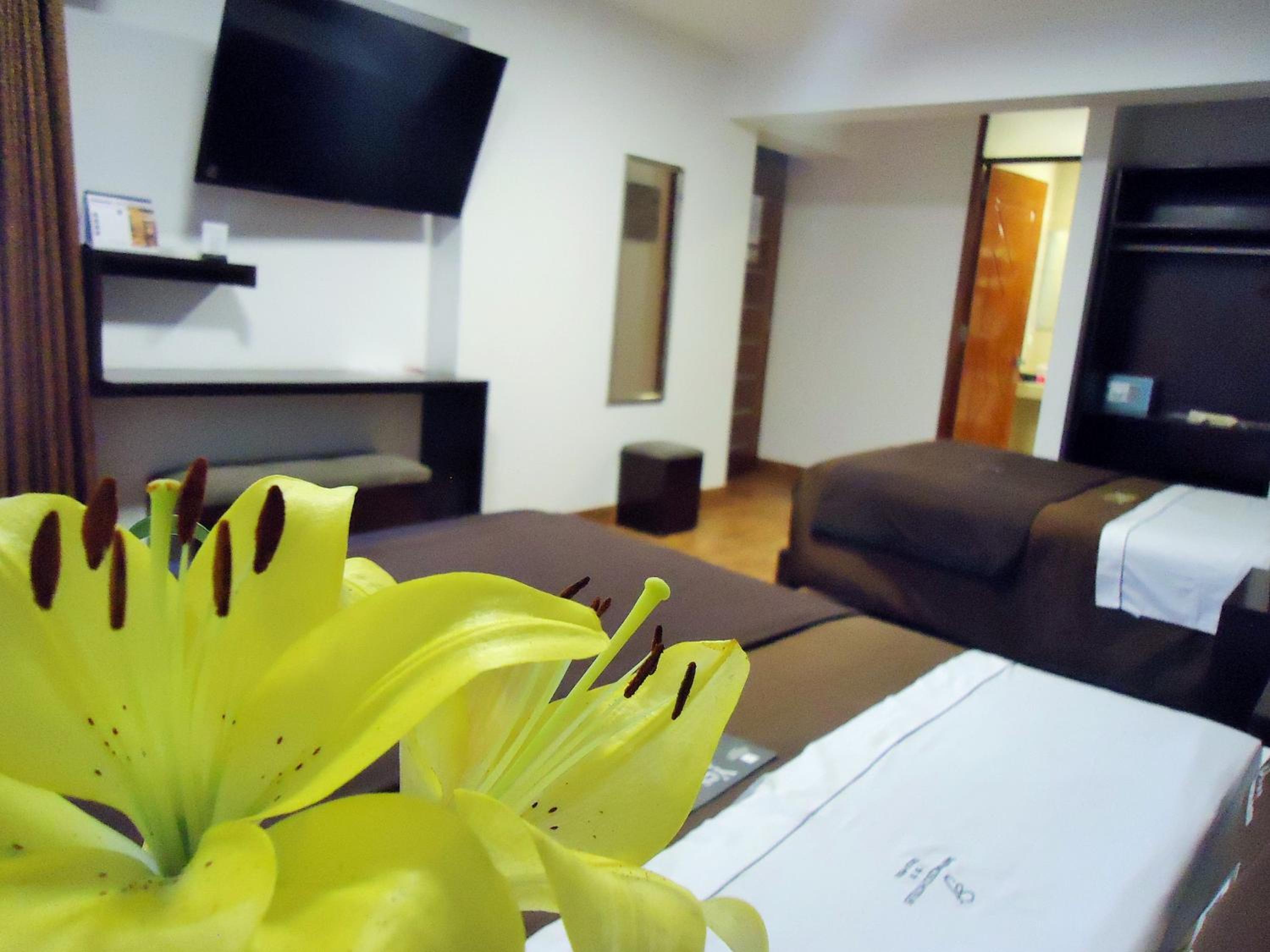 Twin Room photo 3