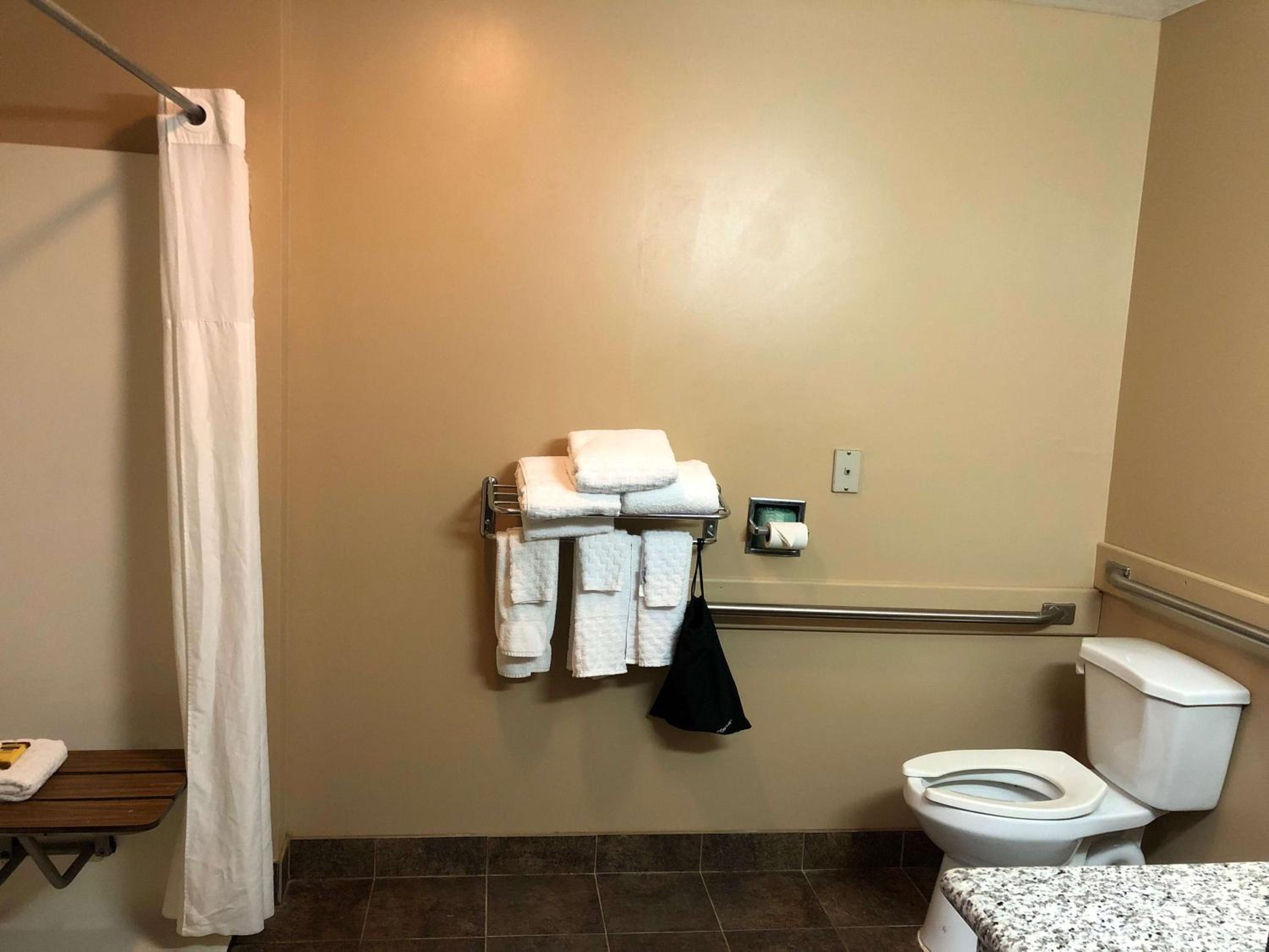 King Room with Roll-in Shower - Disability Access/Non-Smoking - Photo 6