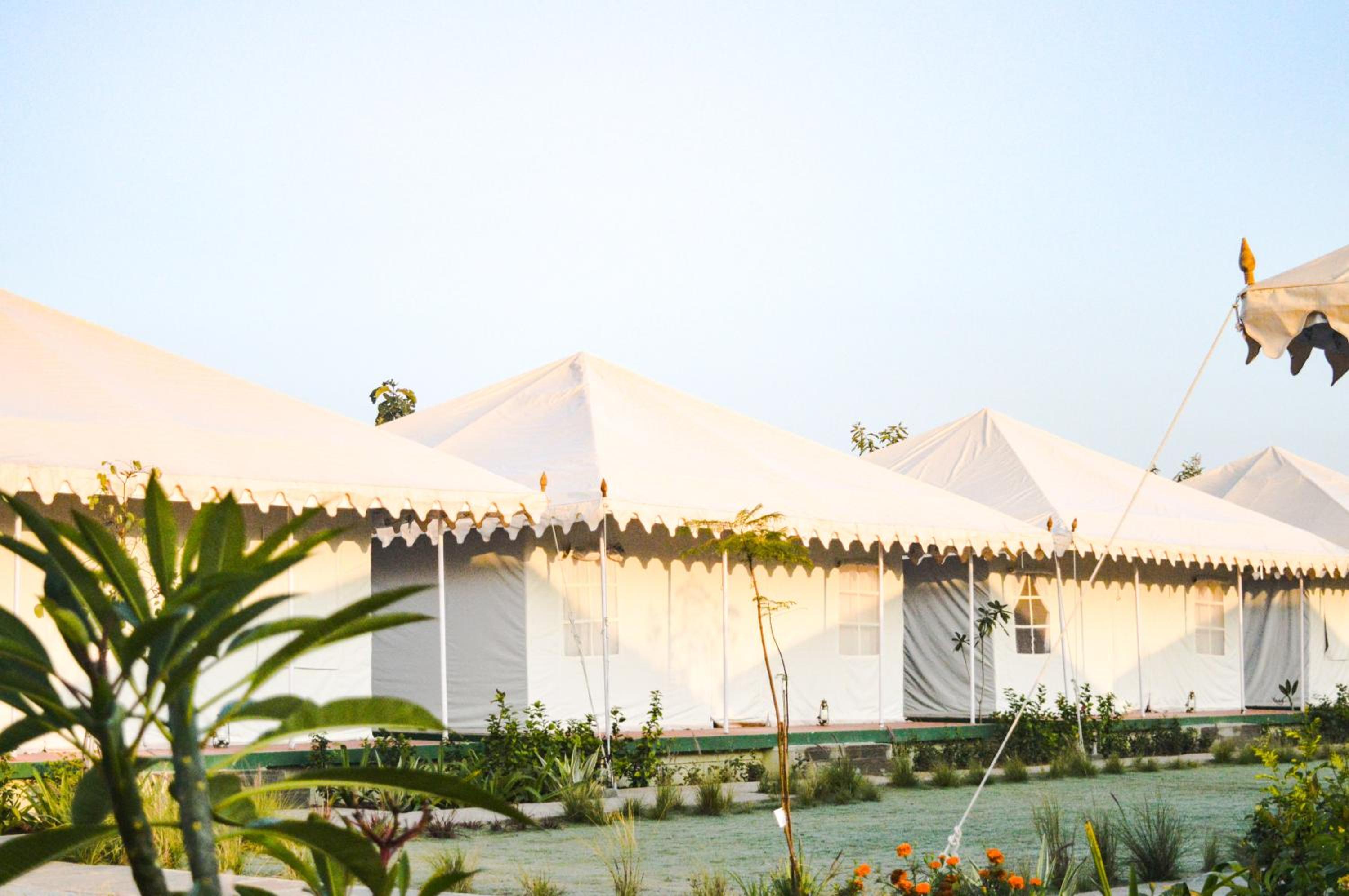 Tent - Photo 4