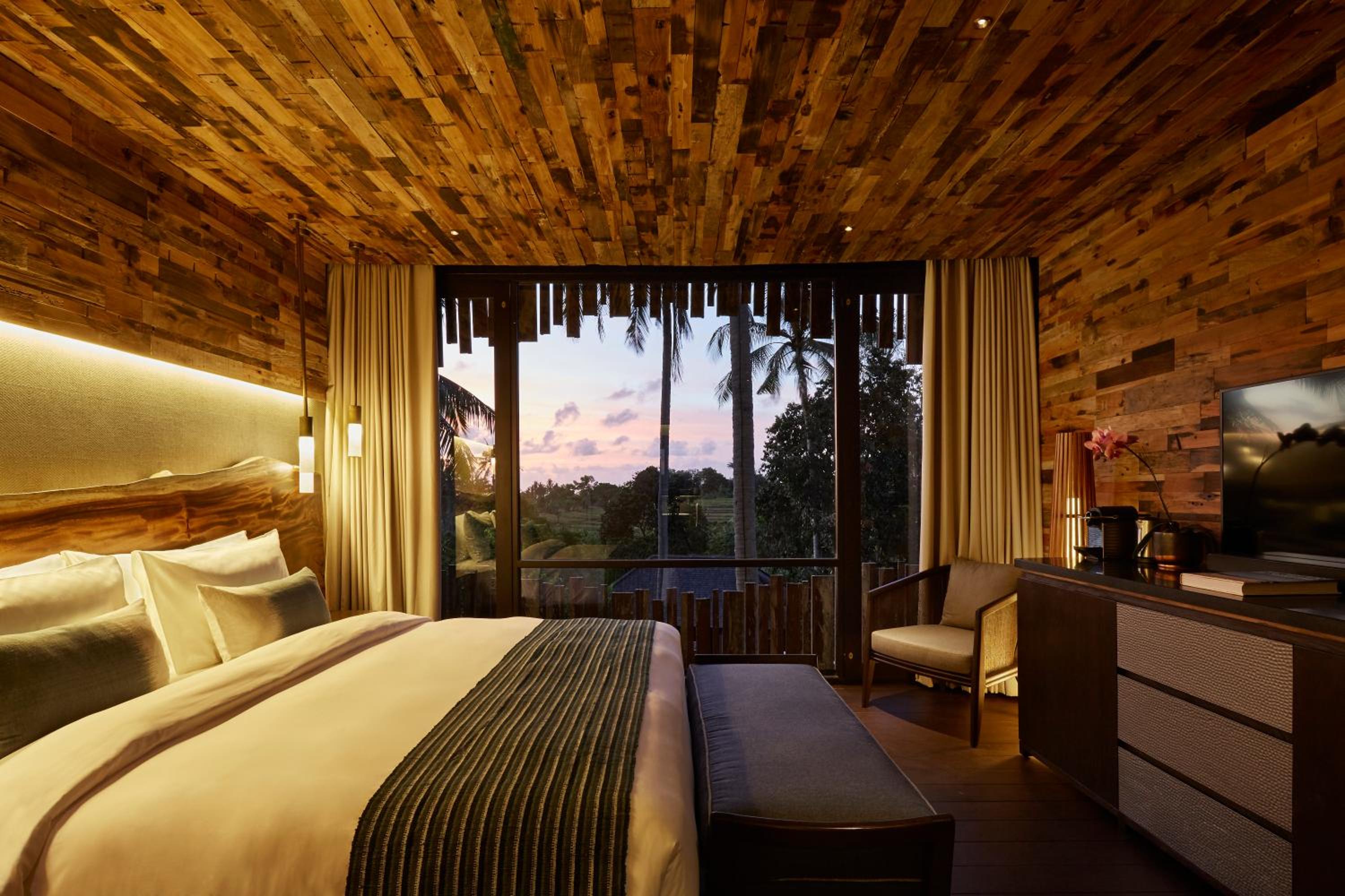 Canopy Suite - Photo 6