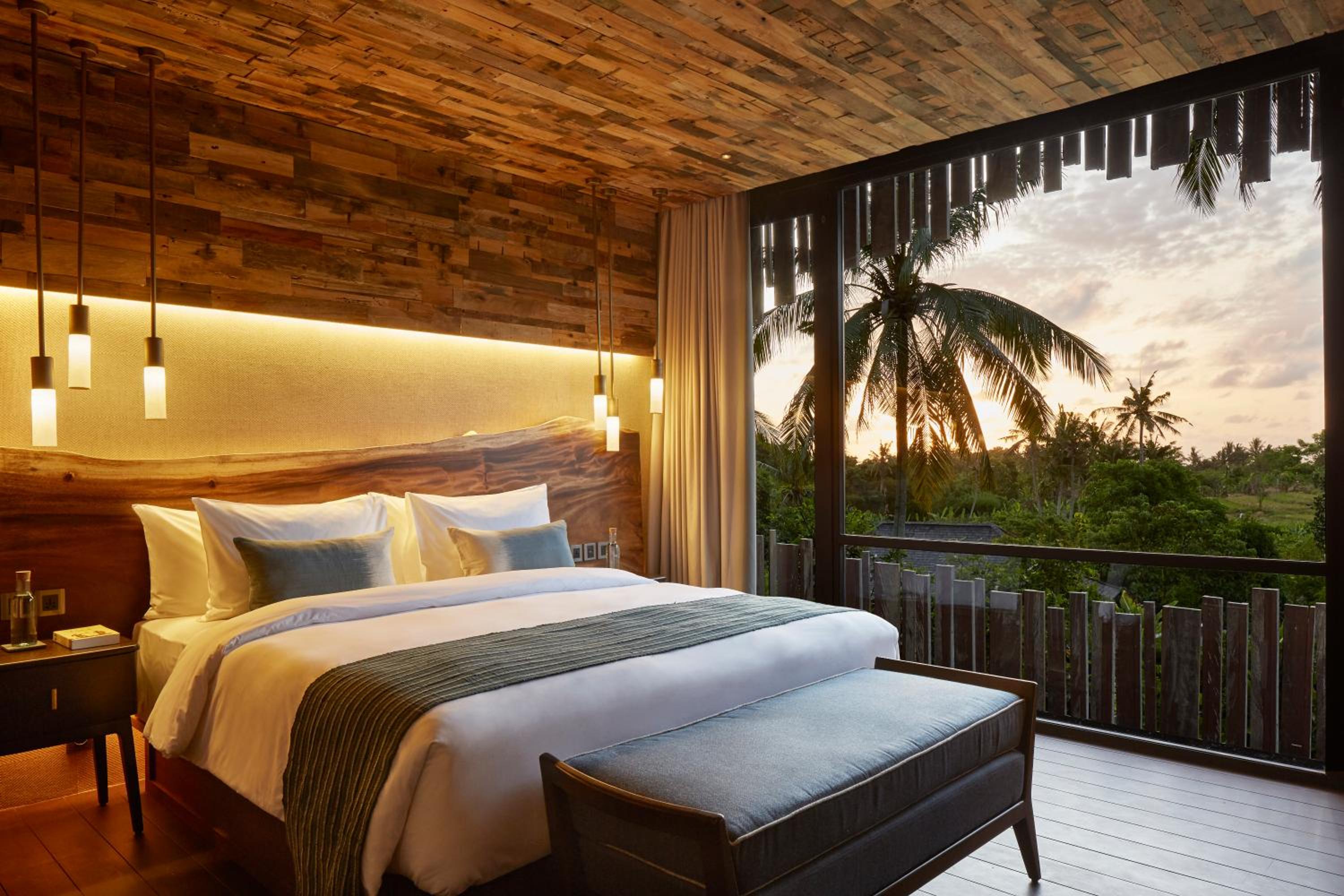 Canopy Suite - Photo 7