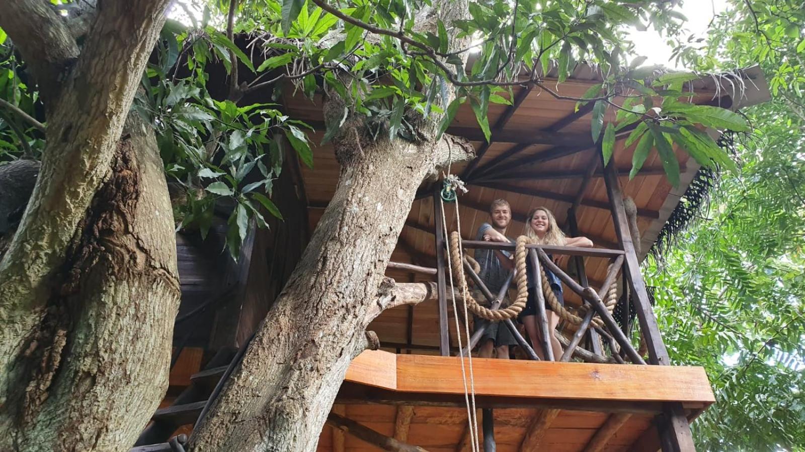 Treehouse photo 2