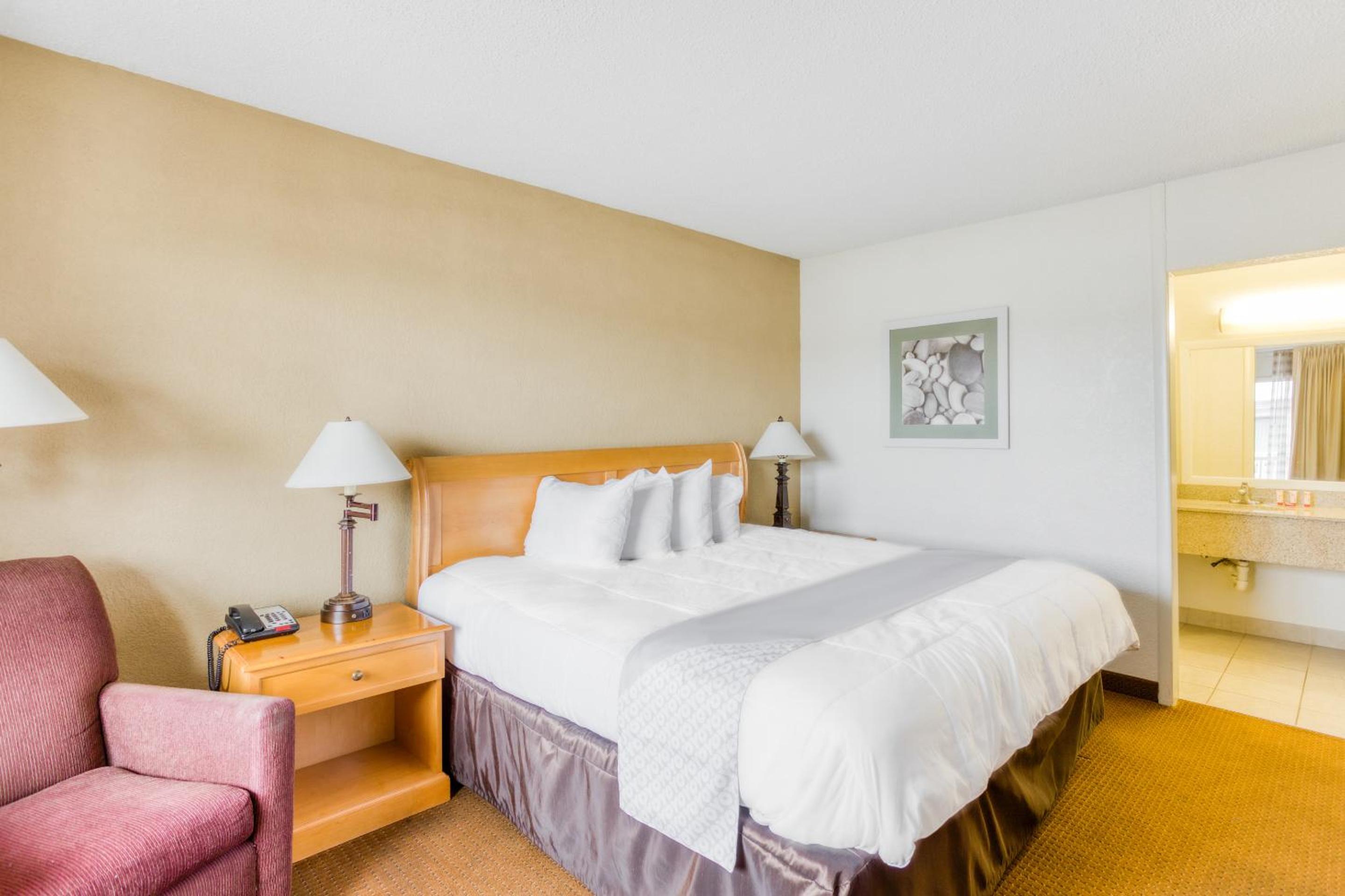 King Room photo 1