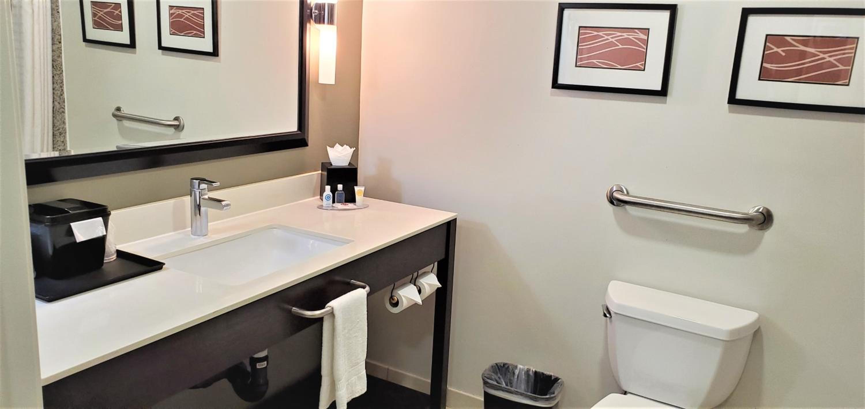 Deluxe Suite King Room thumbnail 6