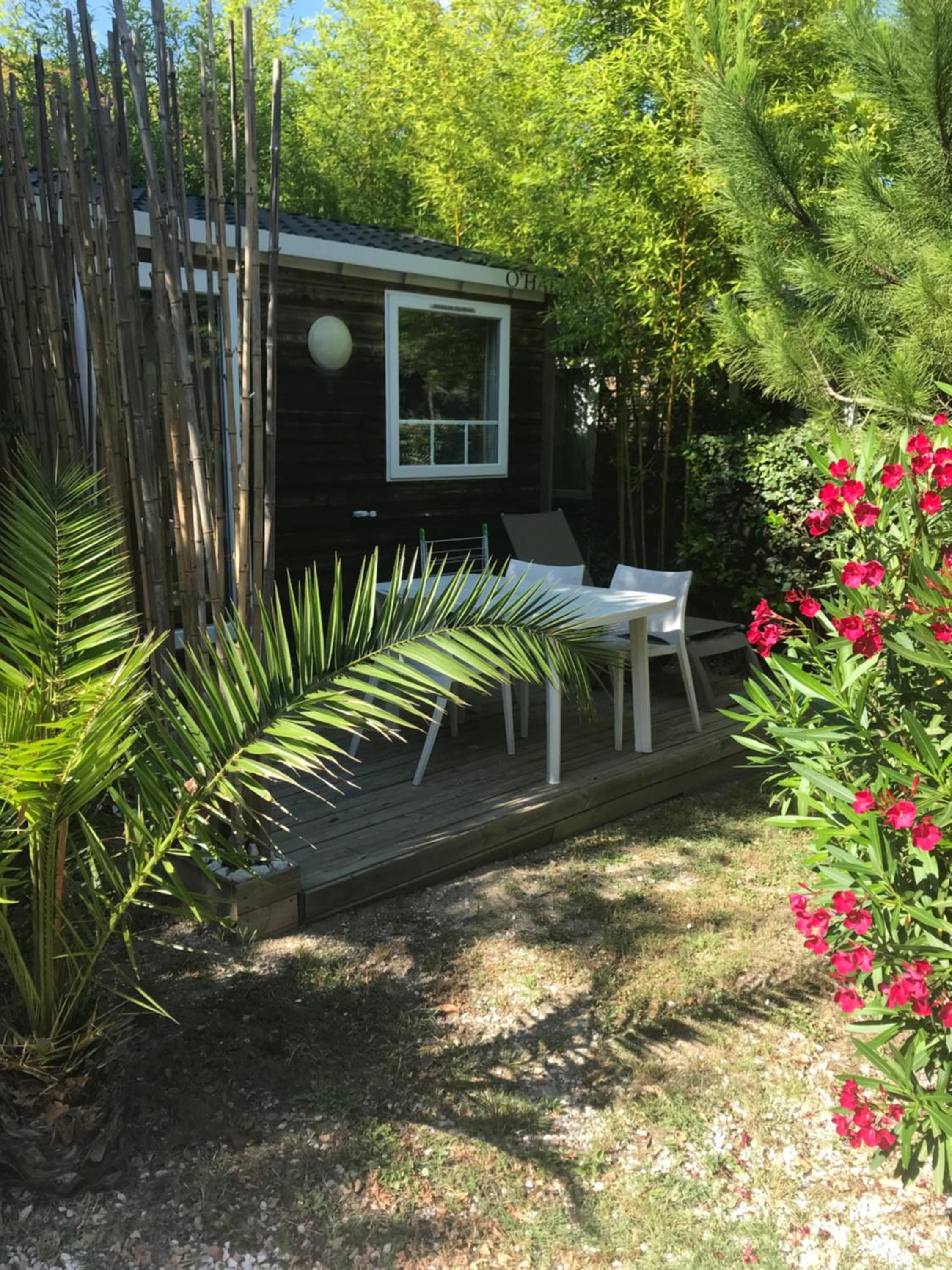 Mobile Home (2 Adults) photo 1