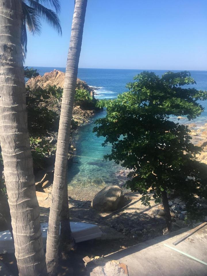 Bungalow with Sea View photo 2