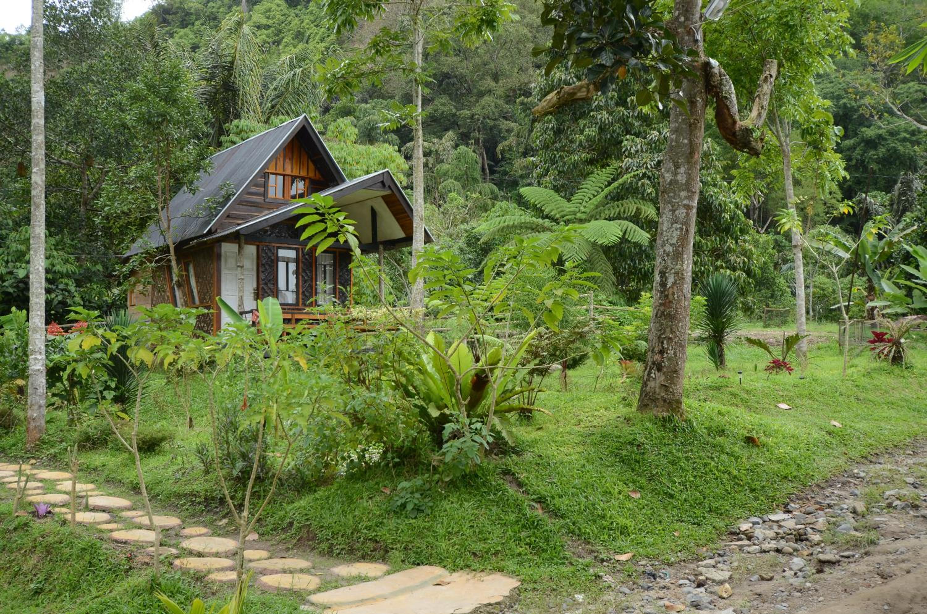Bungalow - Photo 5