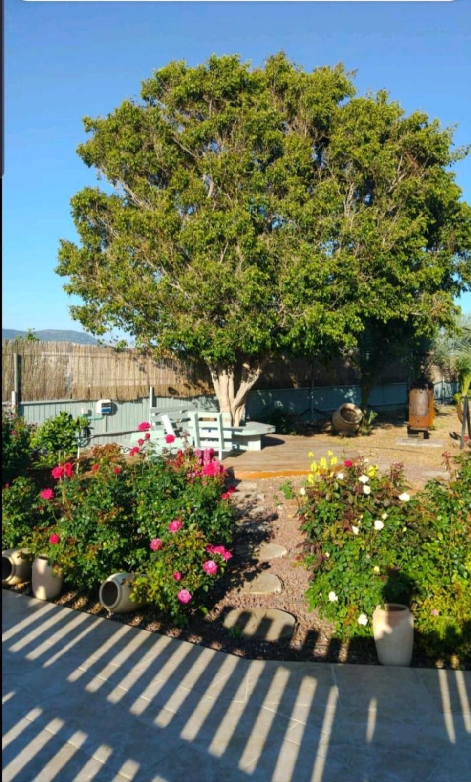Superior Chalet photo 1