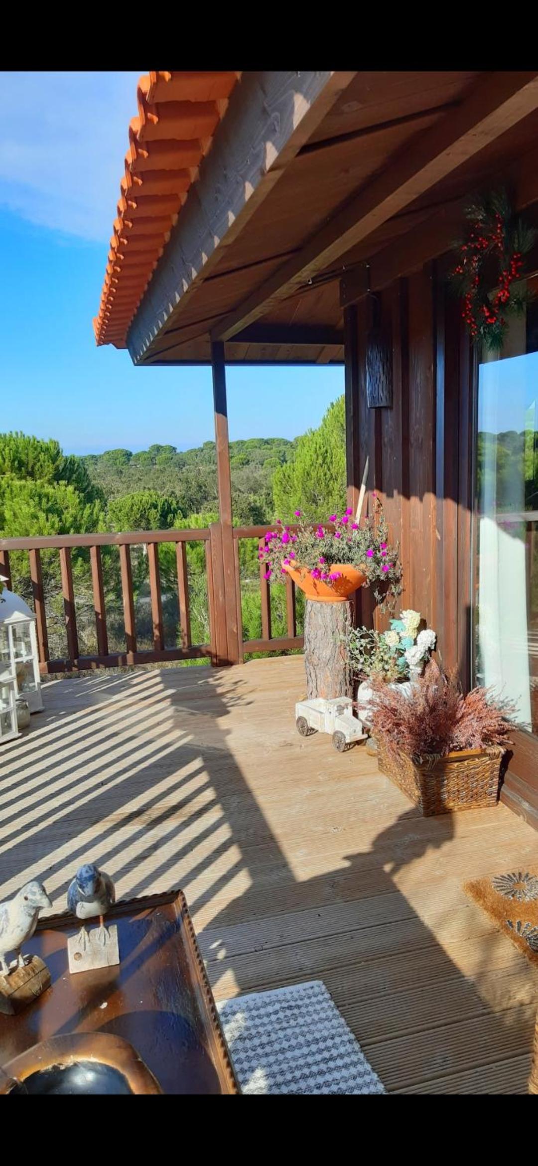 Deluxe Bungalow with Garden View photo 2