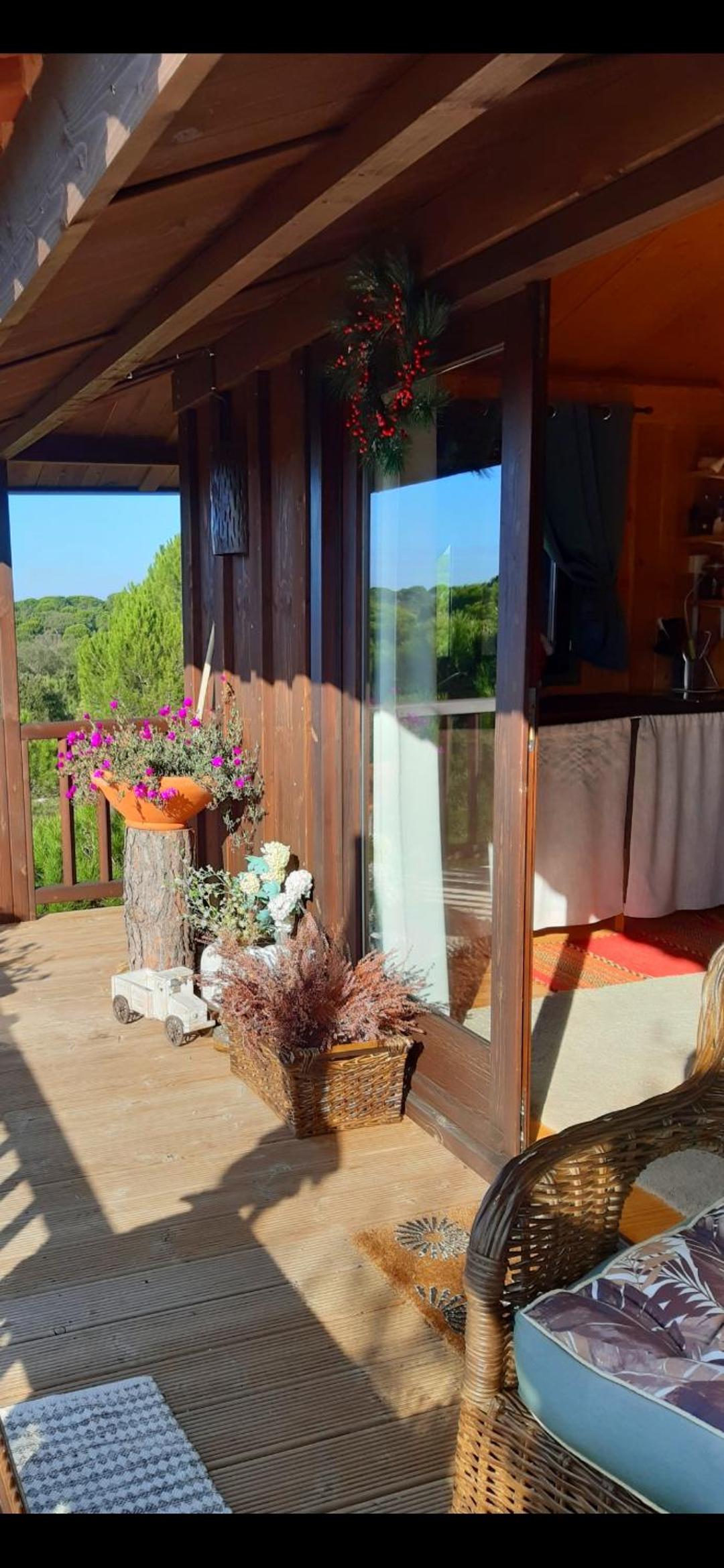 Deluxe Bungalow with Garden View photo 3