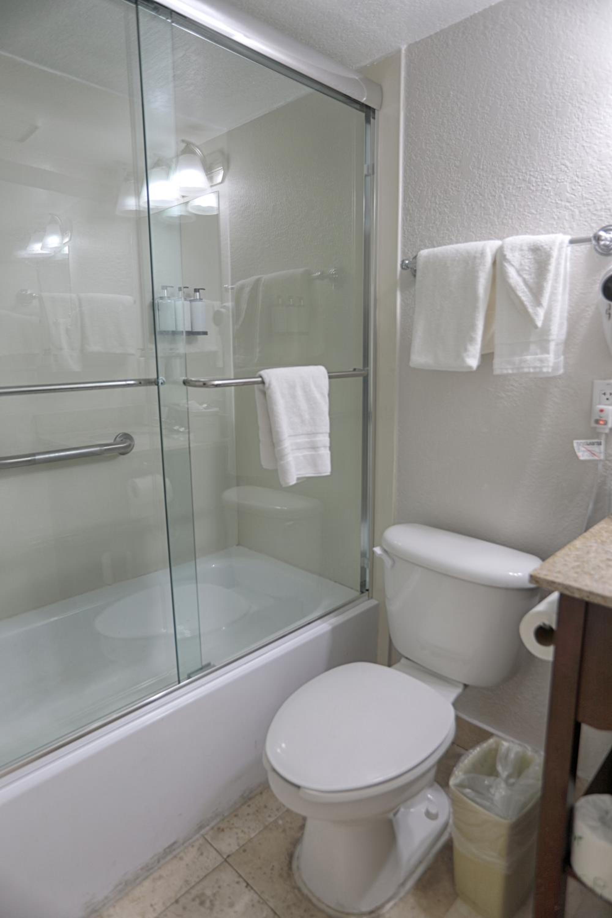Deluxe King with Balcony, Kitchenette and Sofa Bed - Photo 11