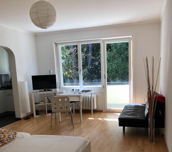 One-Bedroom Apartment - Photo 4