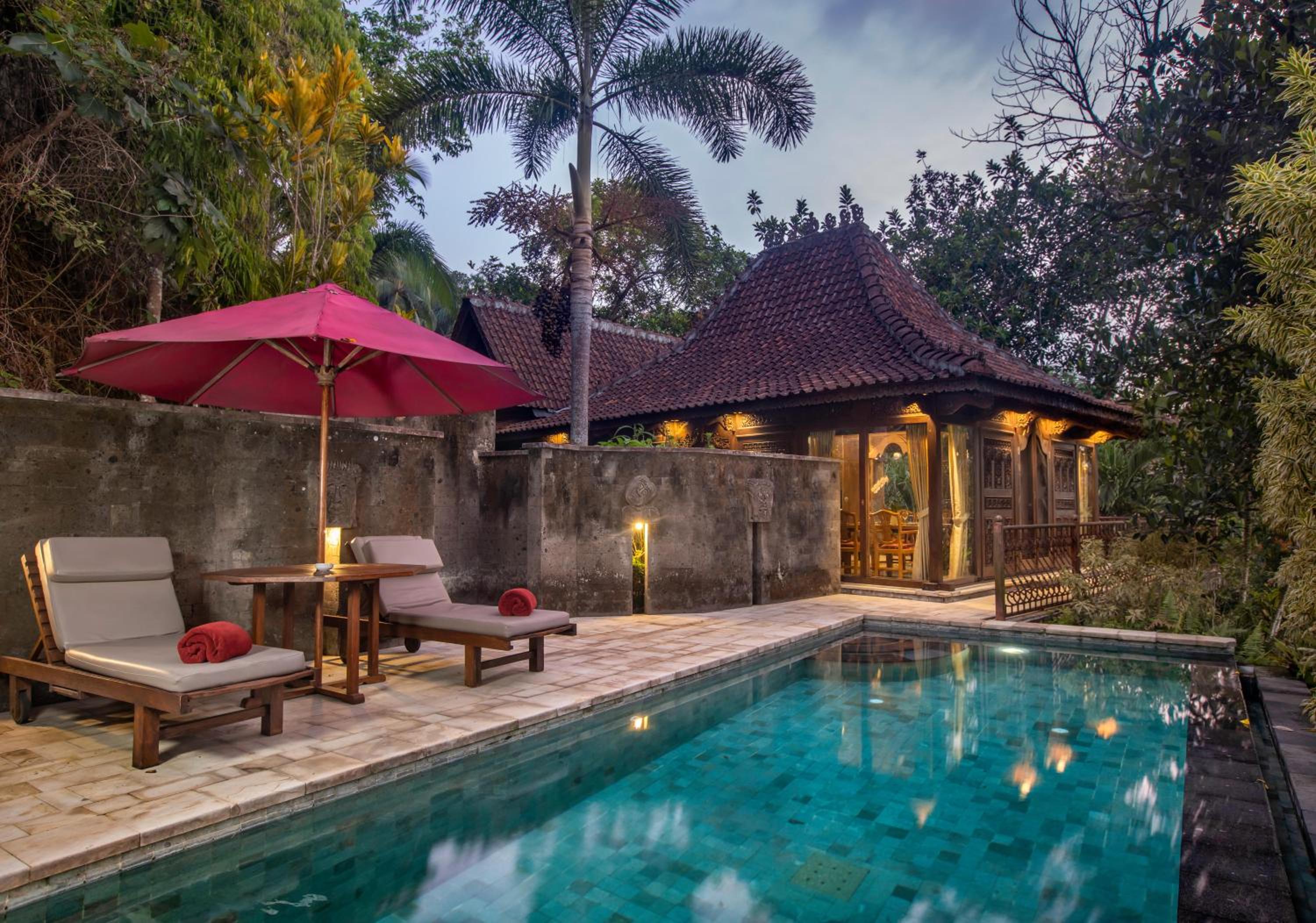 Deluxe Rainforest Villa (Free Daily Afternoon Tea) photo 2