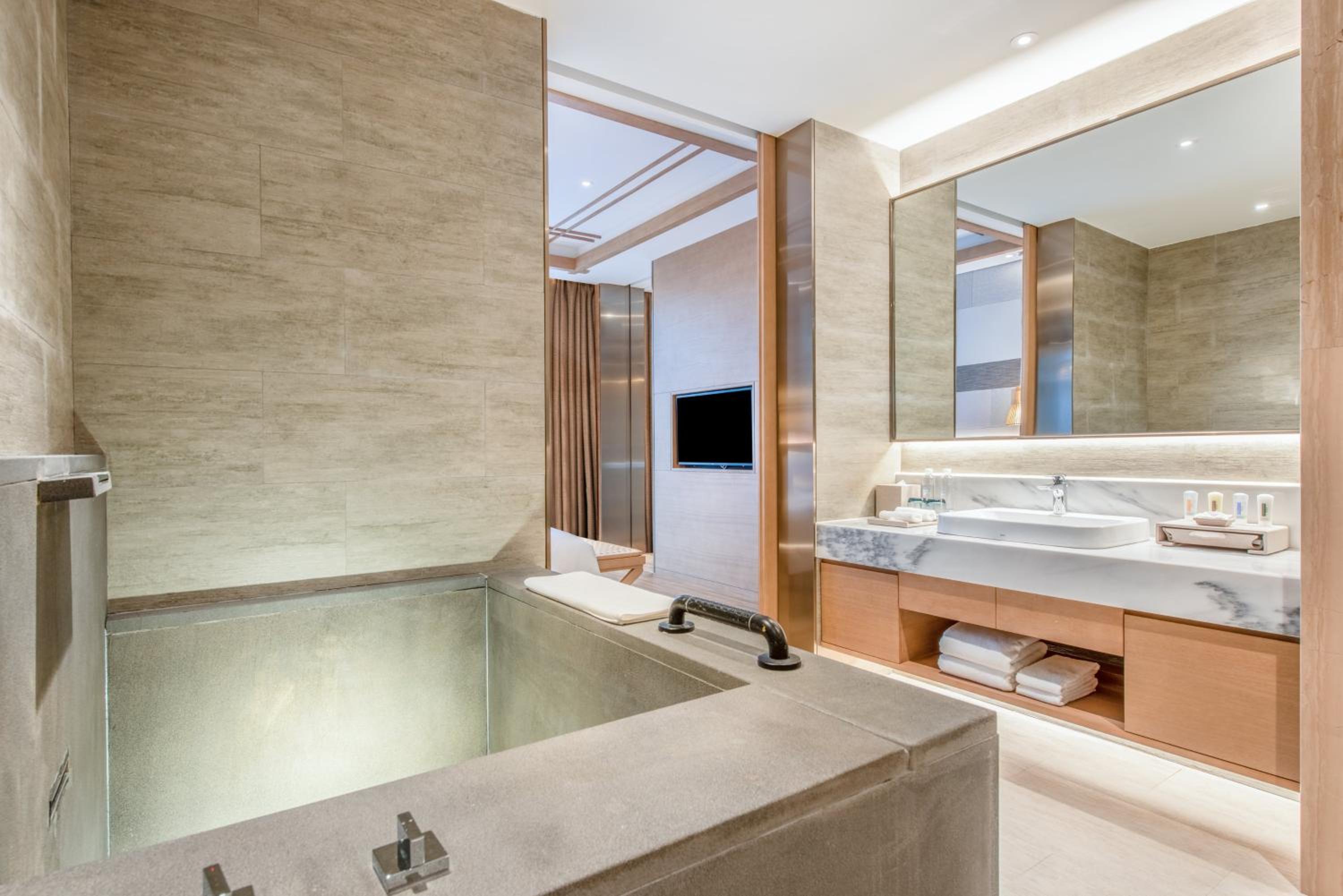 One-Bedroom Suite - Photo 4