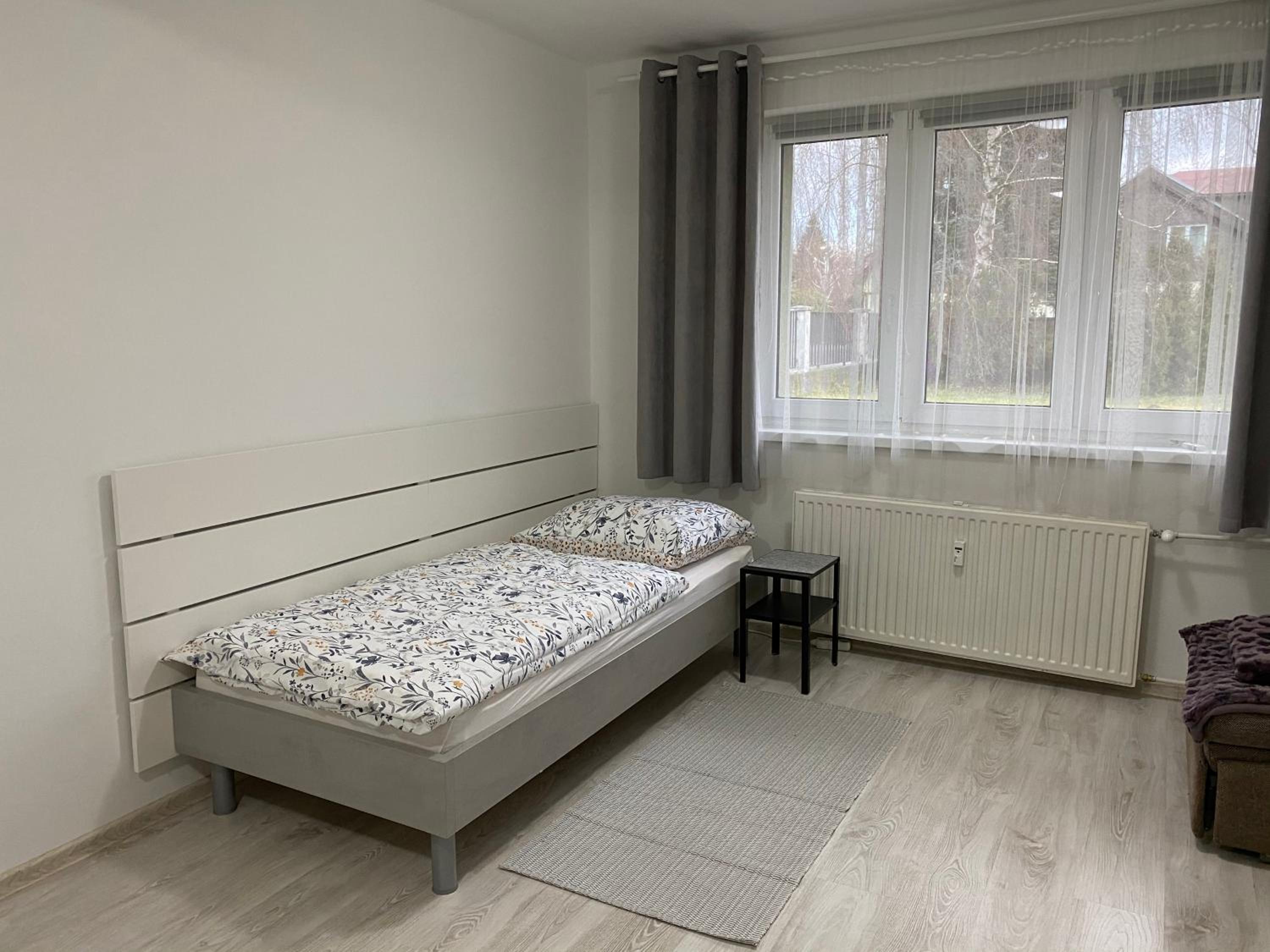 Standard Apartment photo 2
