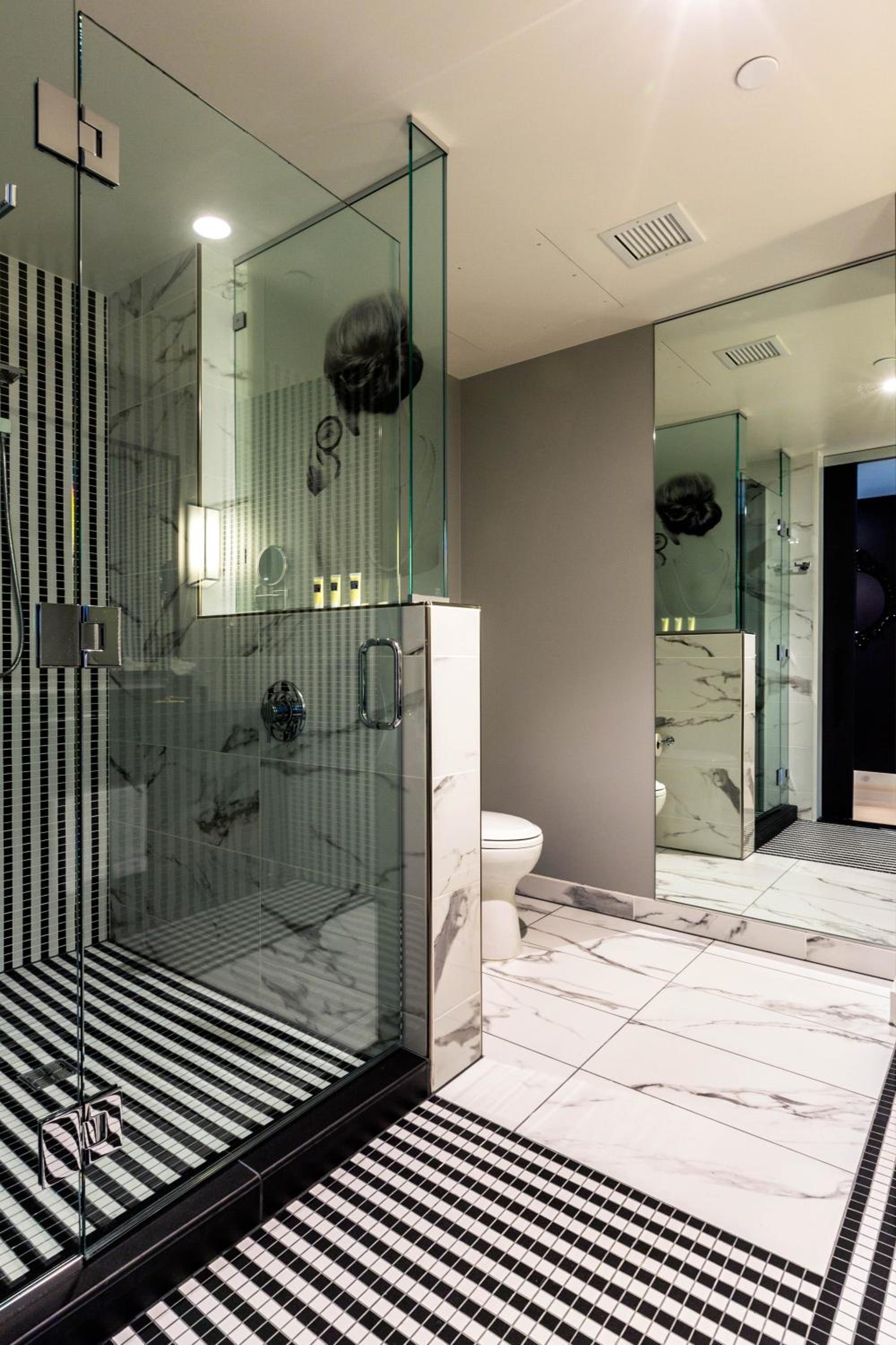 Premium King Room with Roll-In Shower - Mobility Access - Photo 4