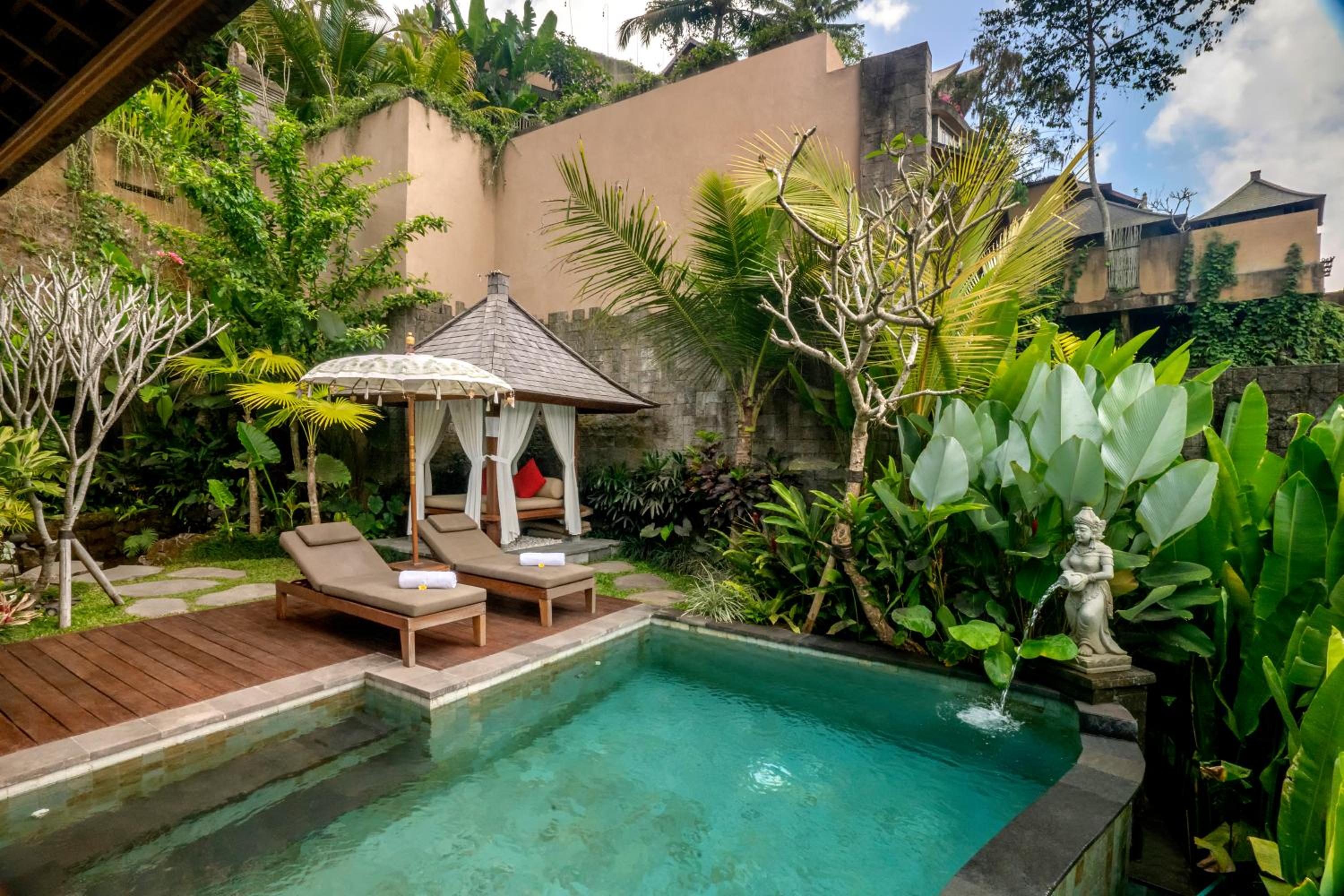 Jungle Pool Villa  photo 3