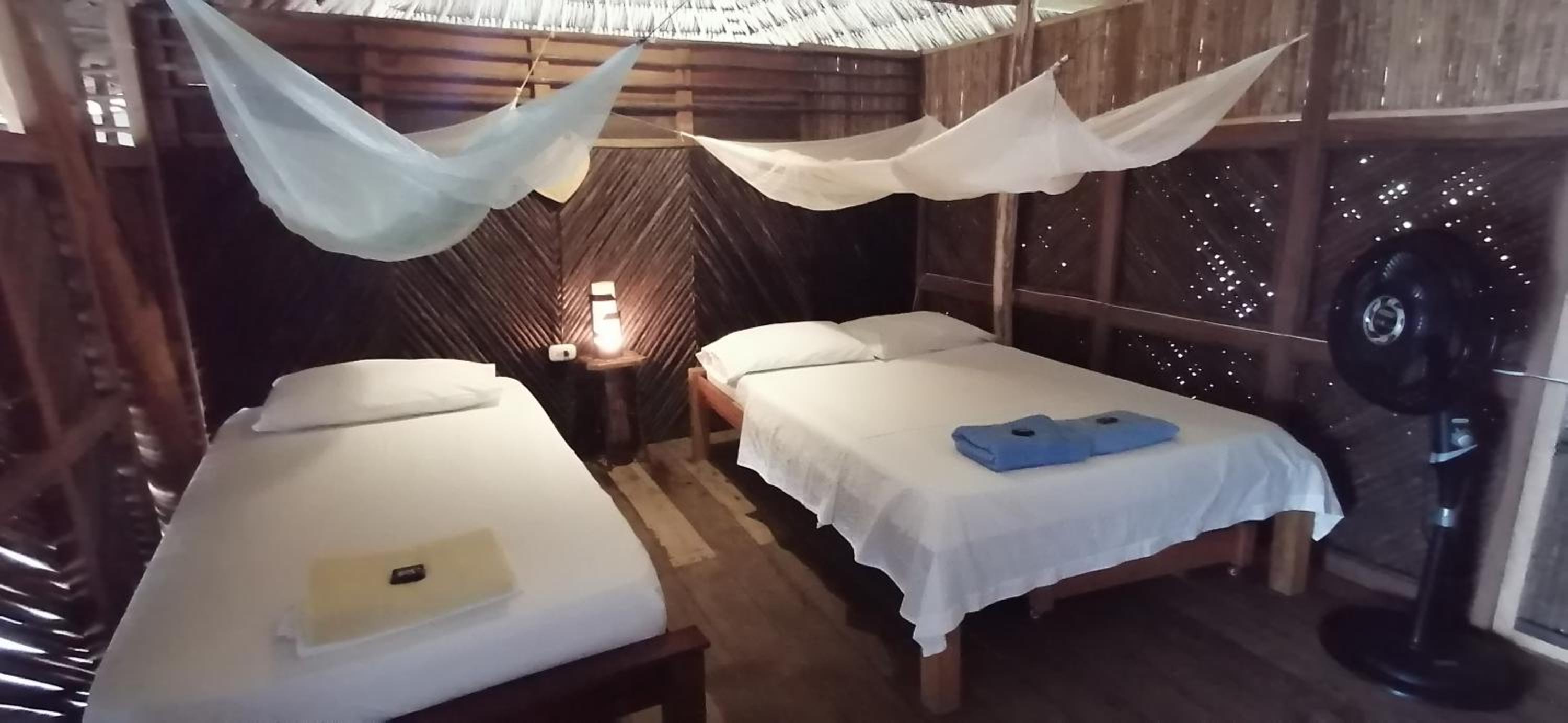 Deluxe Double or Twin Room photo 1