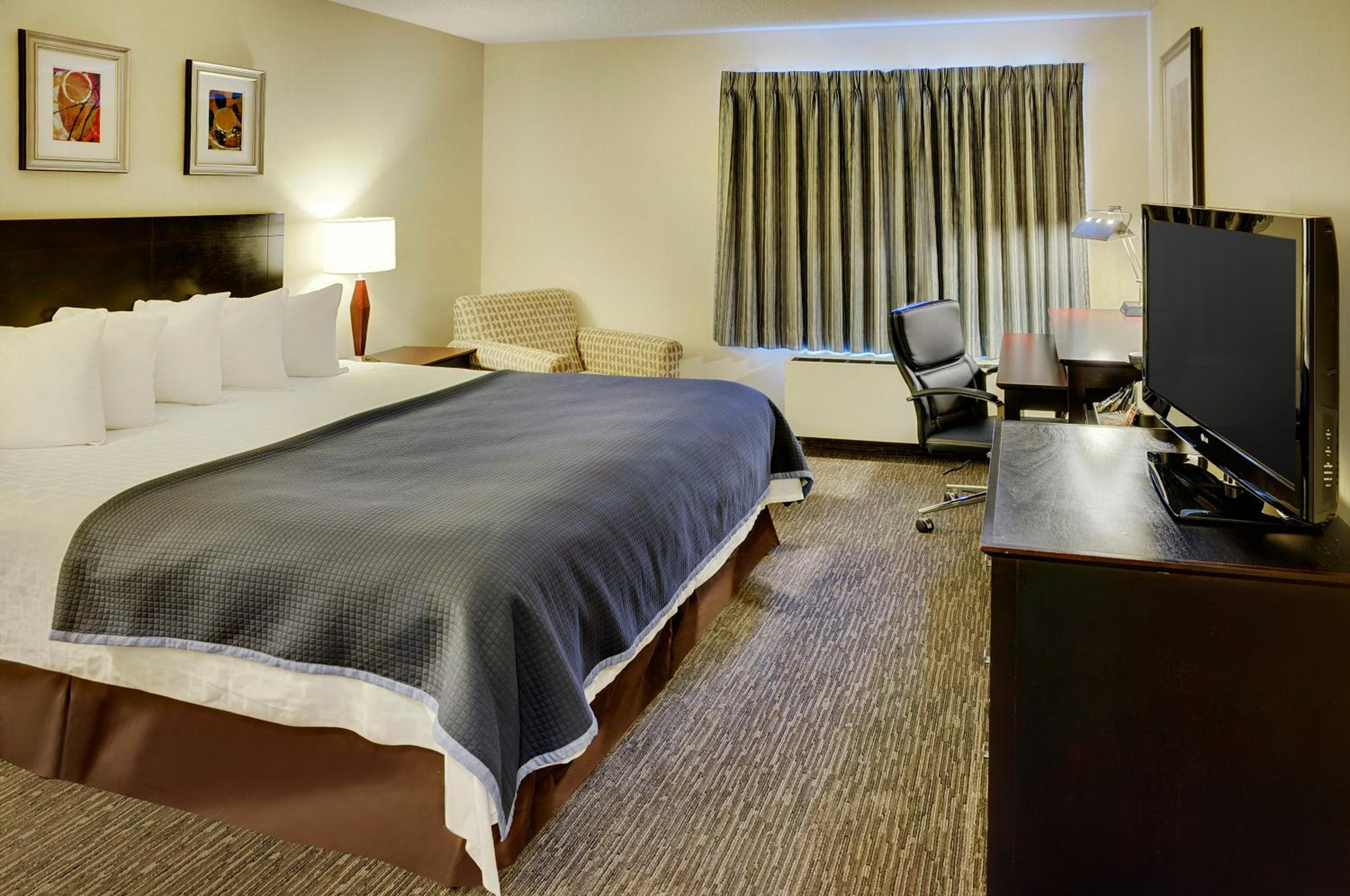 One-Bedroom King Suite - Non-Smoking - Photo 4