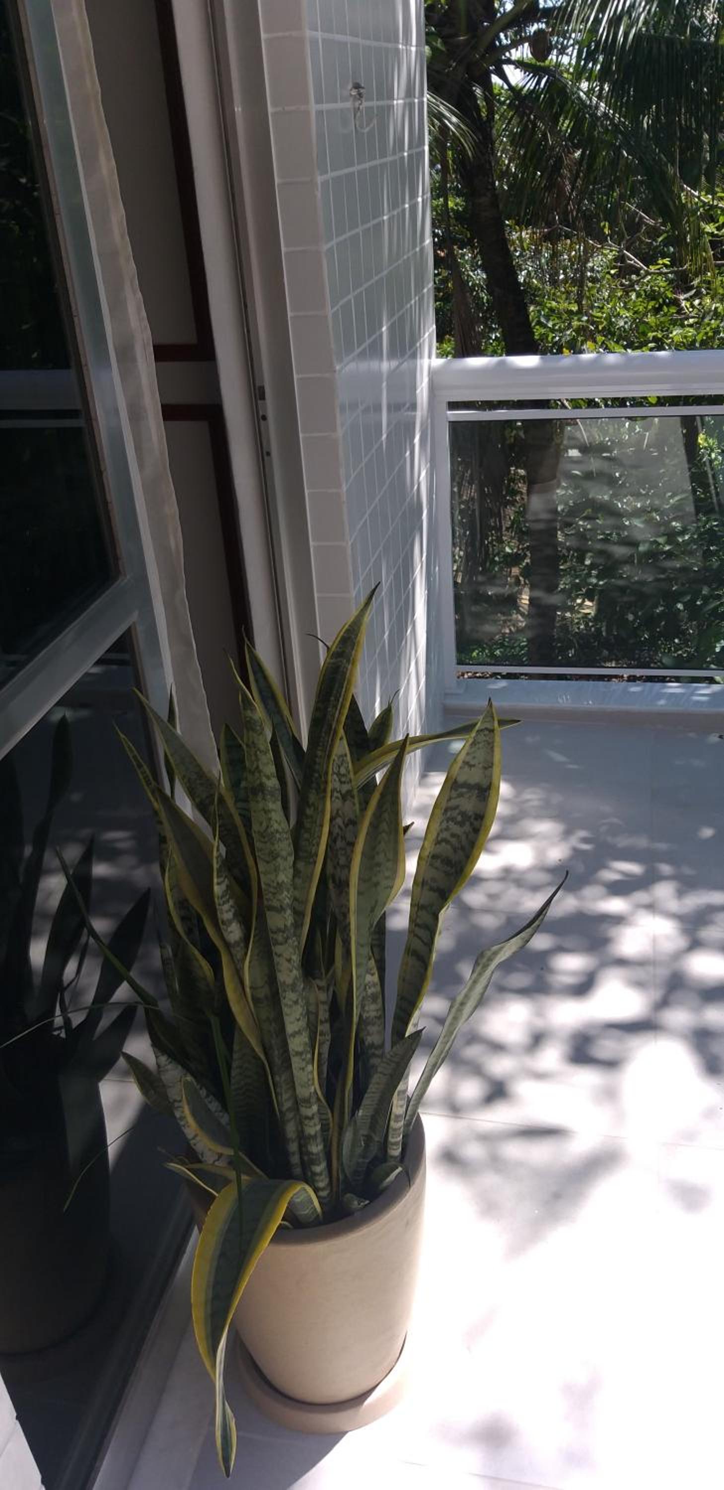Apartment with Mountain View - Photo 19