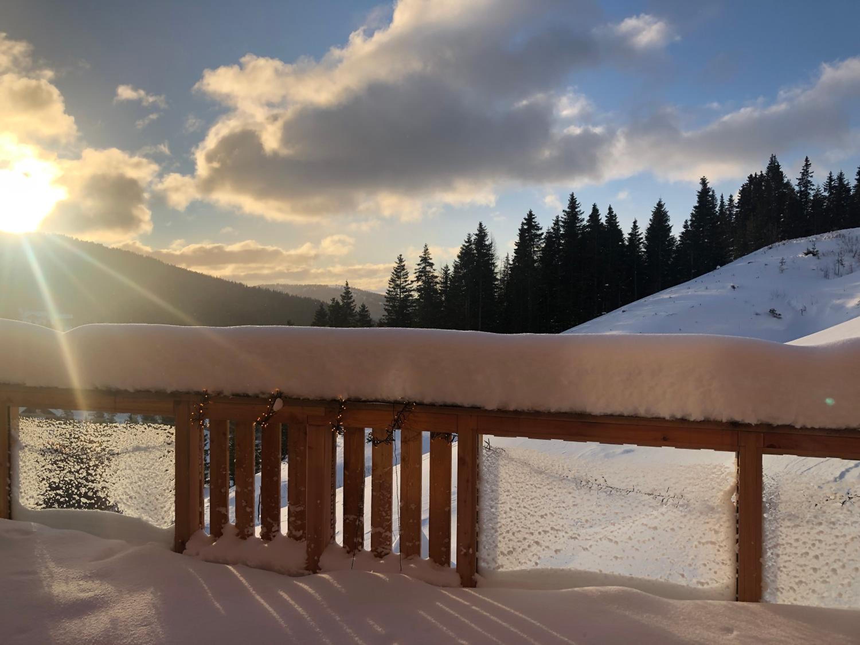 Three-Bedroom Chalet photo 2