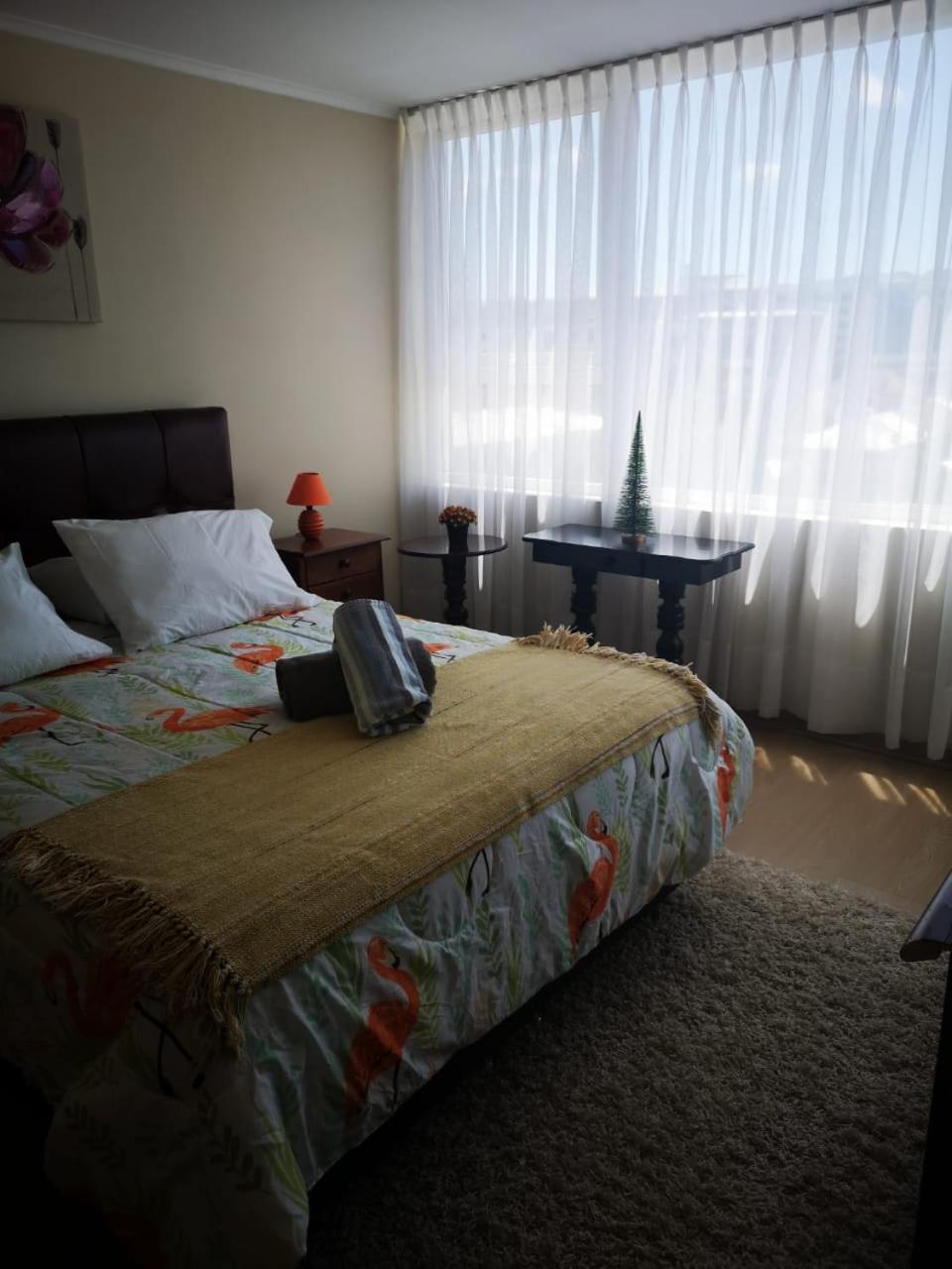 One-Bedroom Apartment photo 2