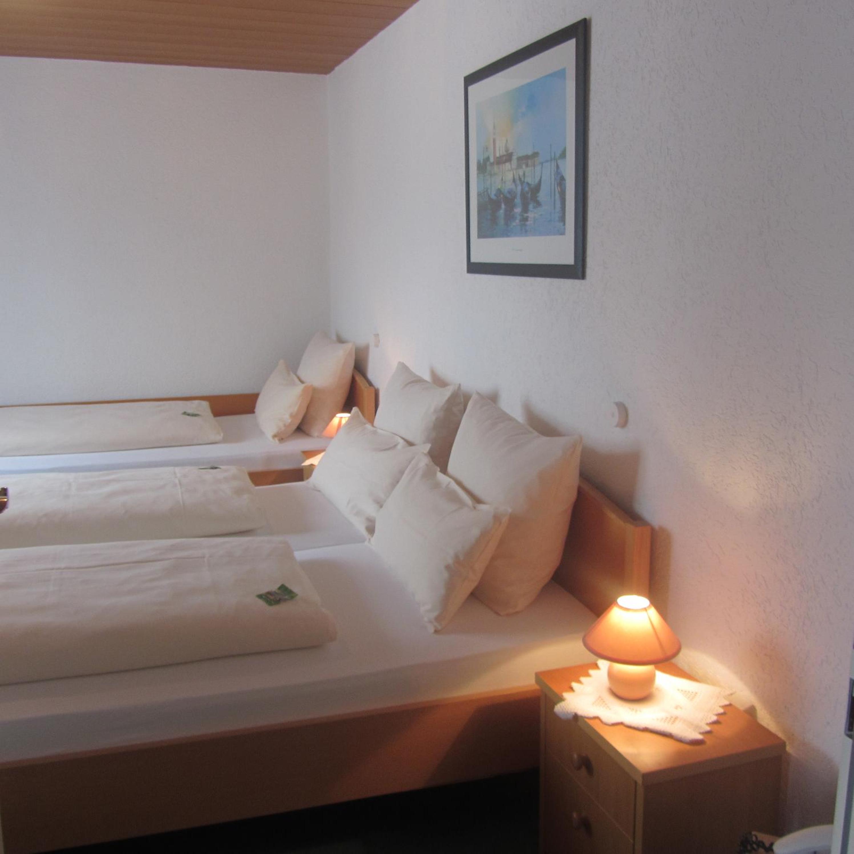 Double or Twin Room - Photo 4