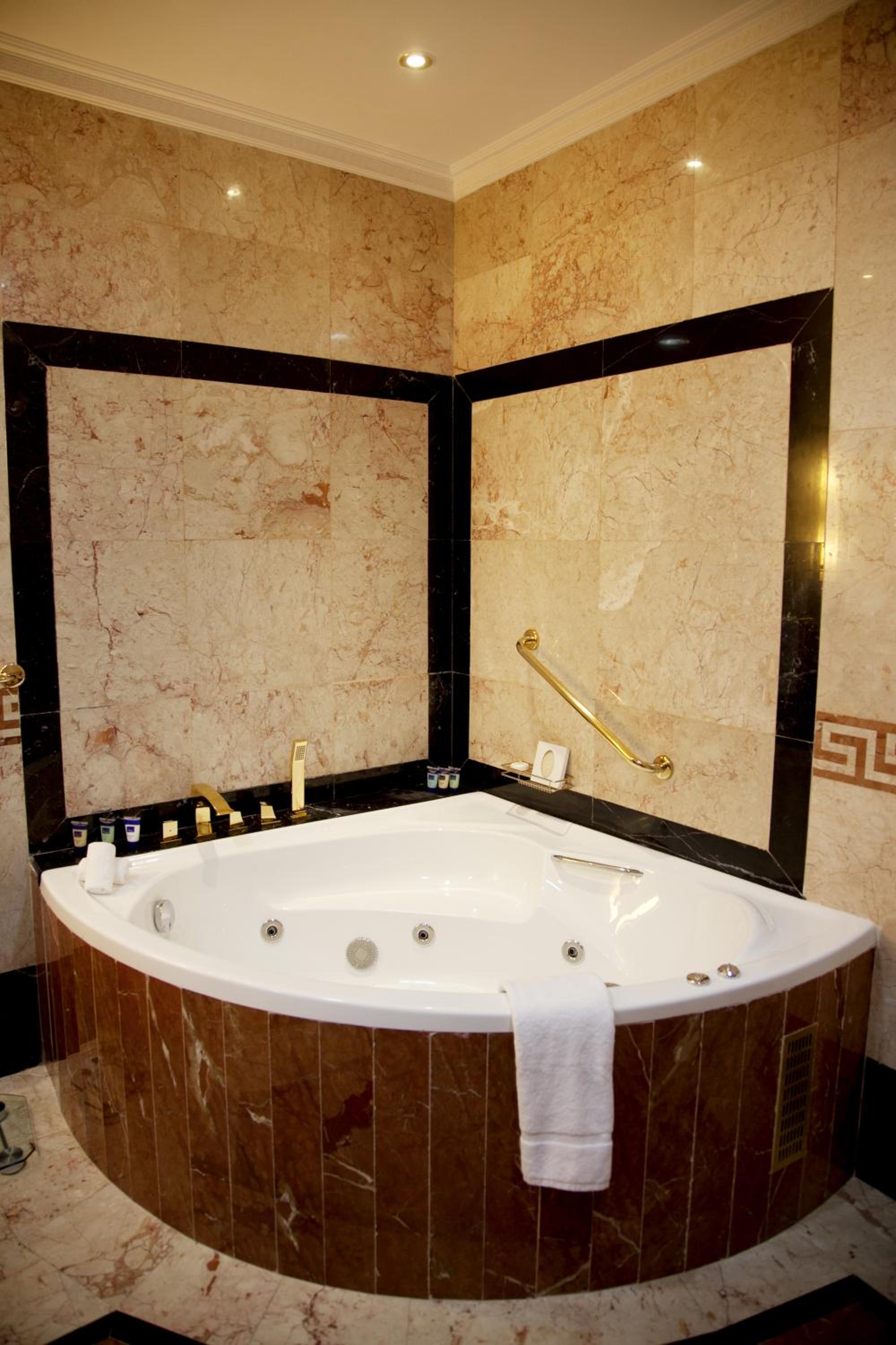 Ambassador Suite — photo 2