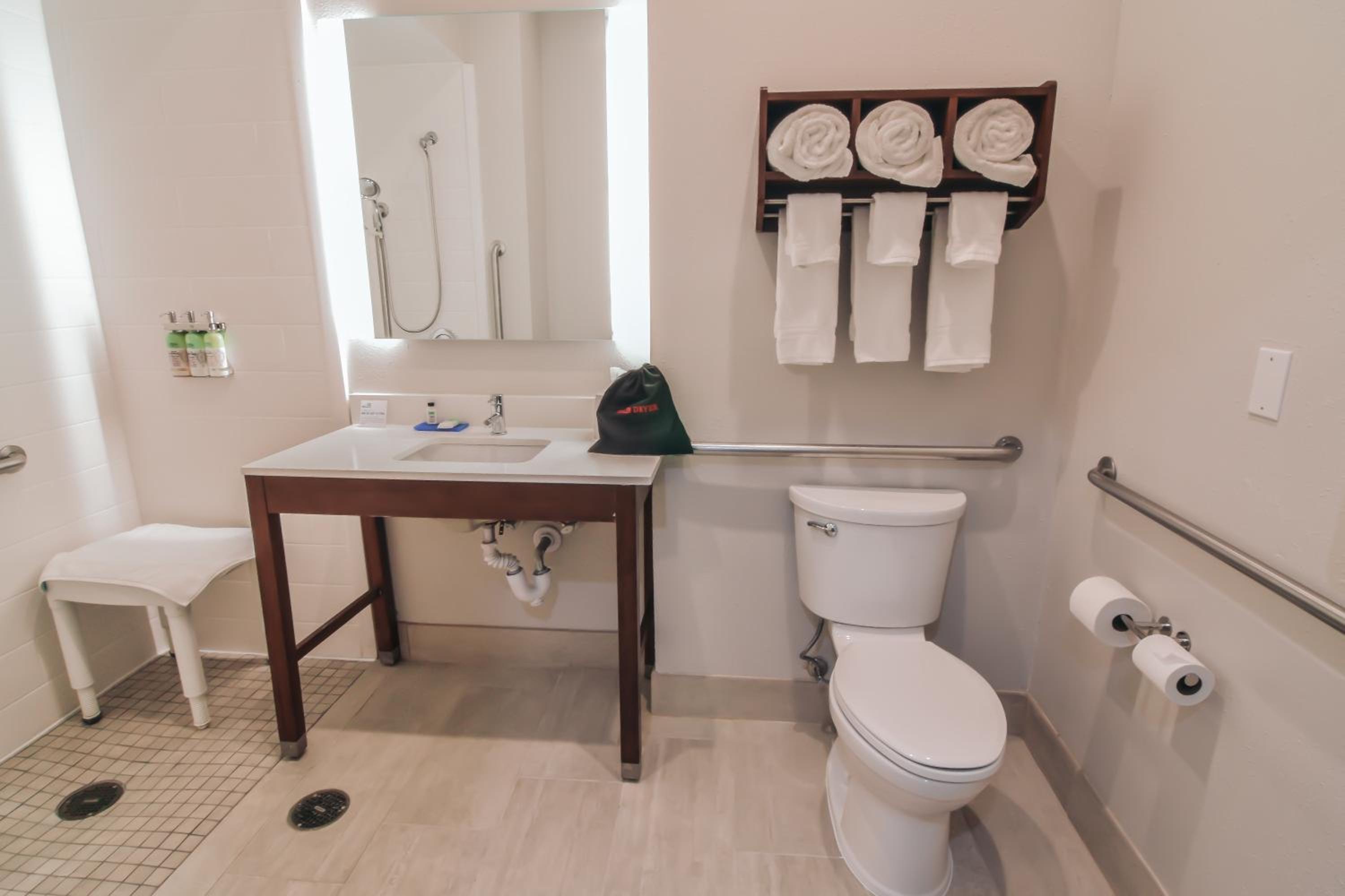 Standard King Room with Roll-In Shower - Communications Access - Photo 6