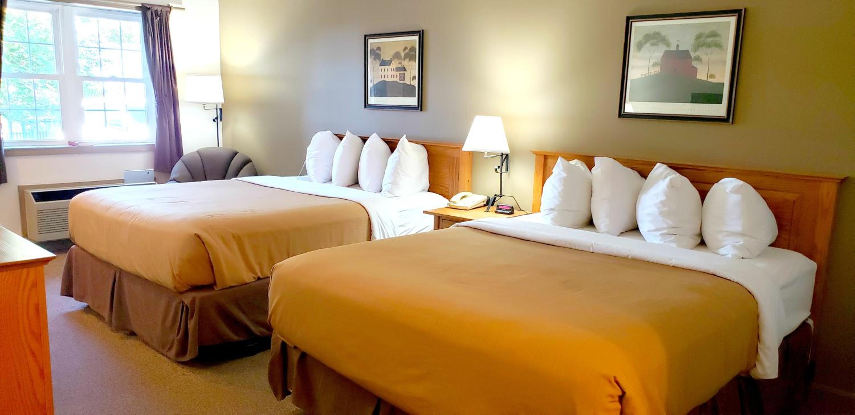 Double Queen Pet Friendly - Upper Level (with Steps) photo 3