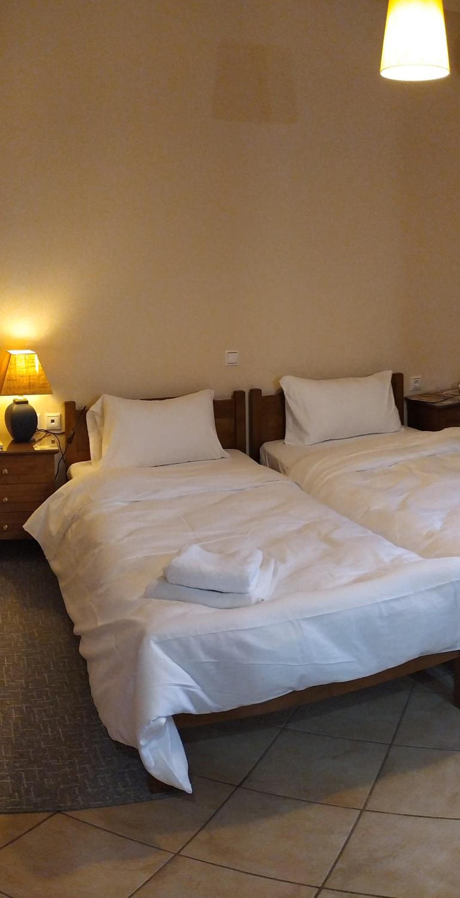 Twin Room with Mountain View photo 3