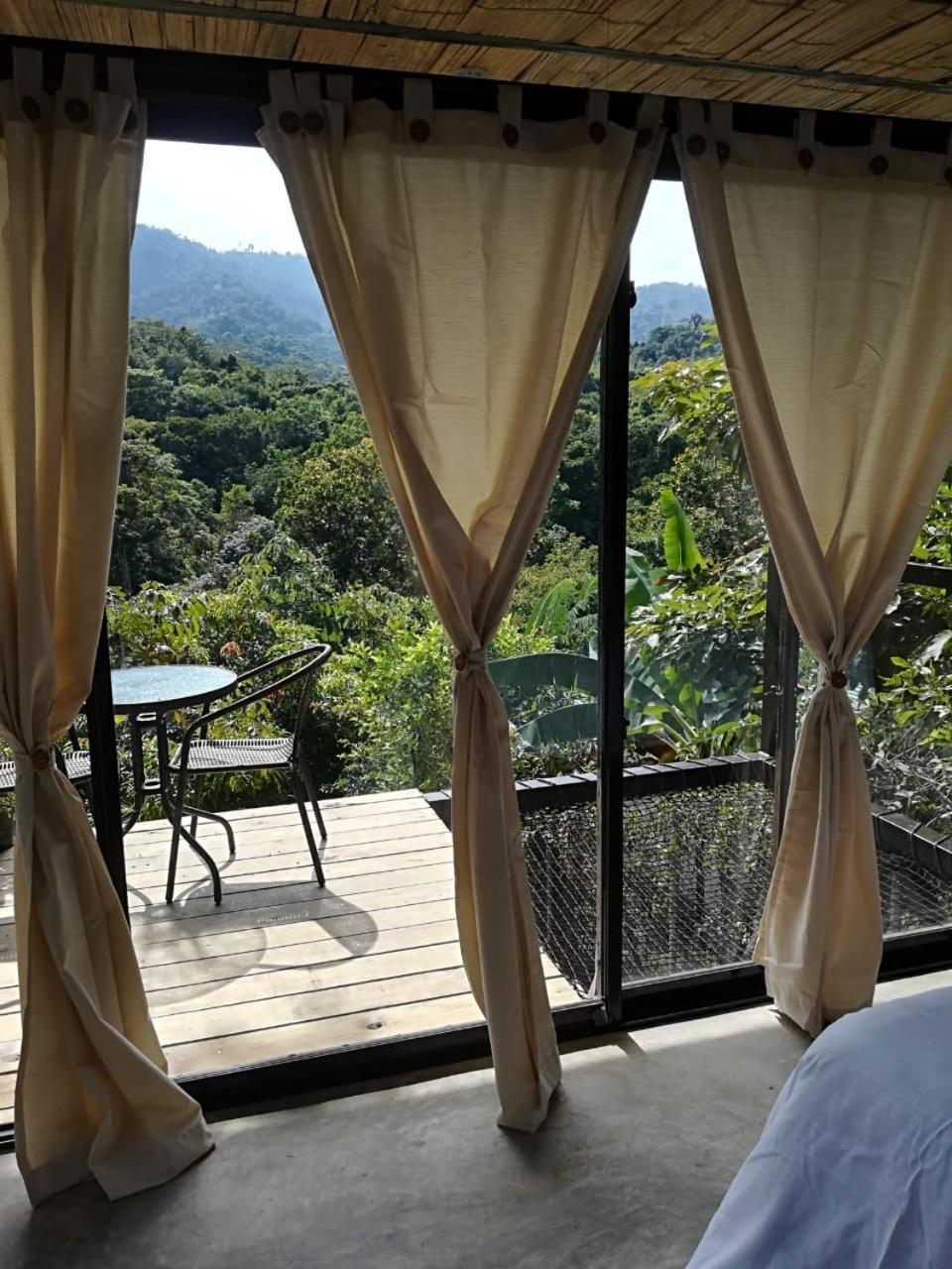 Double Room with Mountain View photo 2