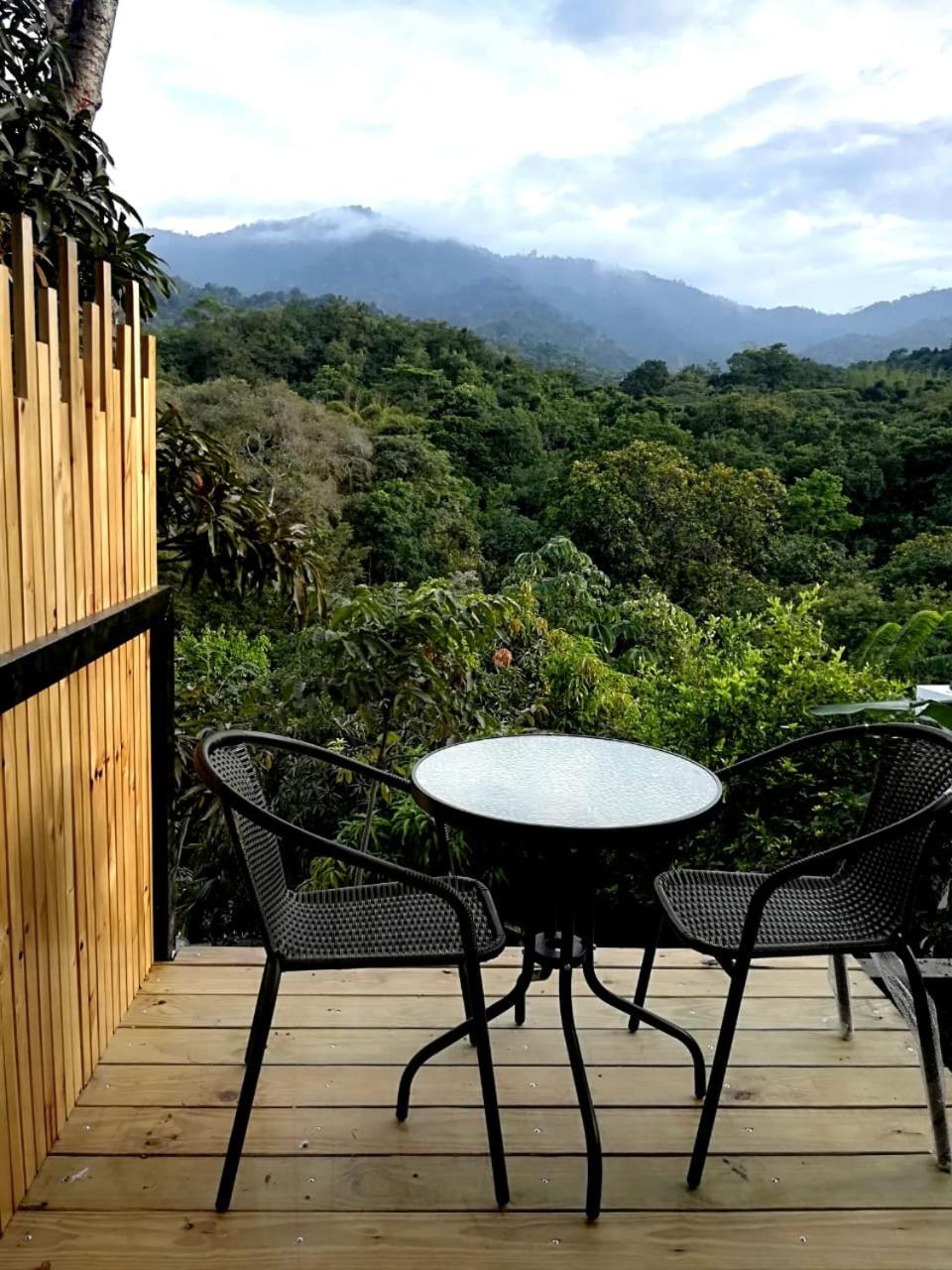 Double Room with Mountain View photo 3