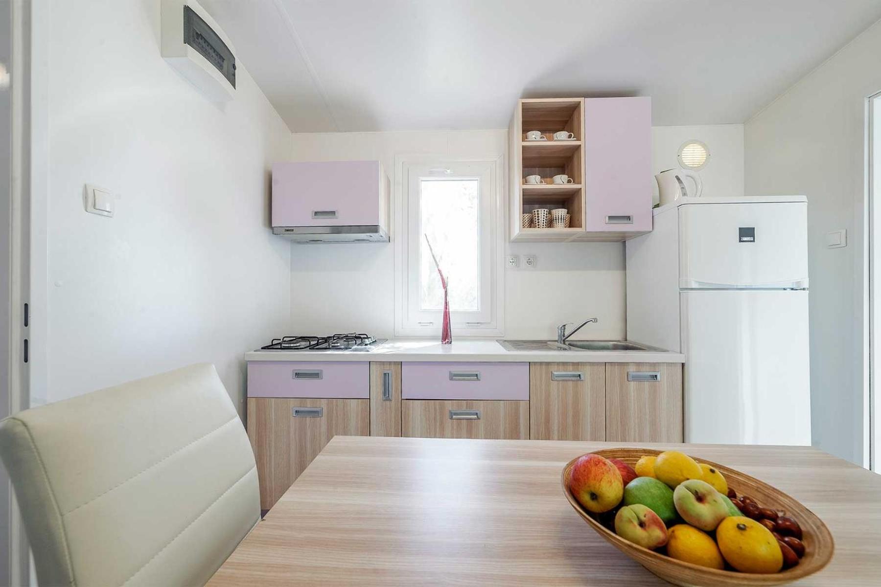 Mobile Home photo 2