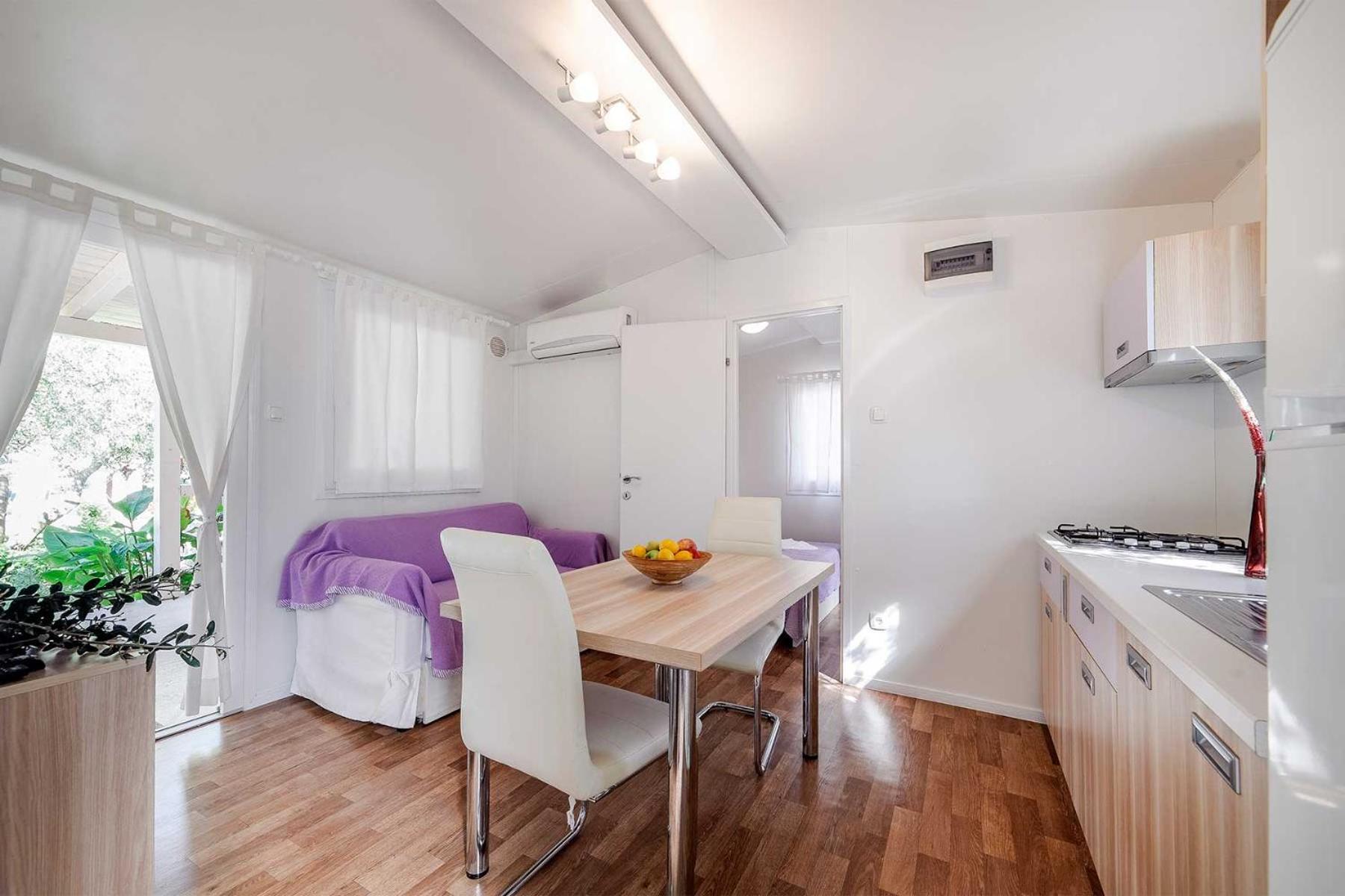 Mobile Home photo 1