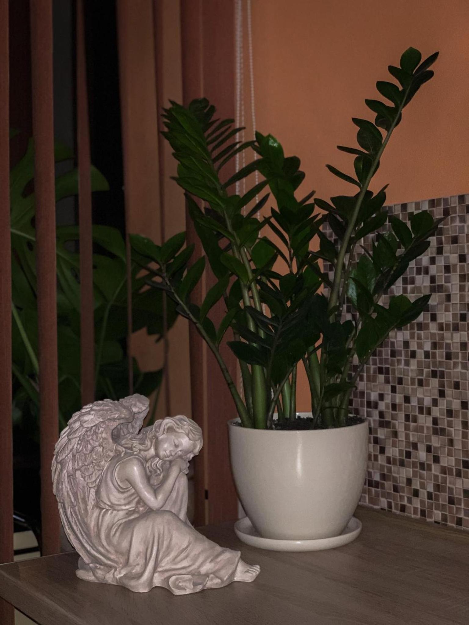 King Room with Balcony photo 3