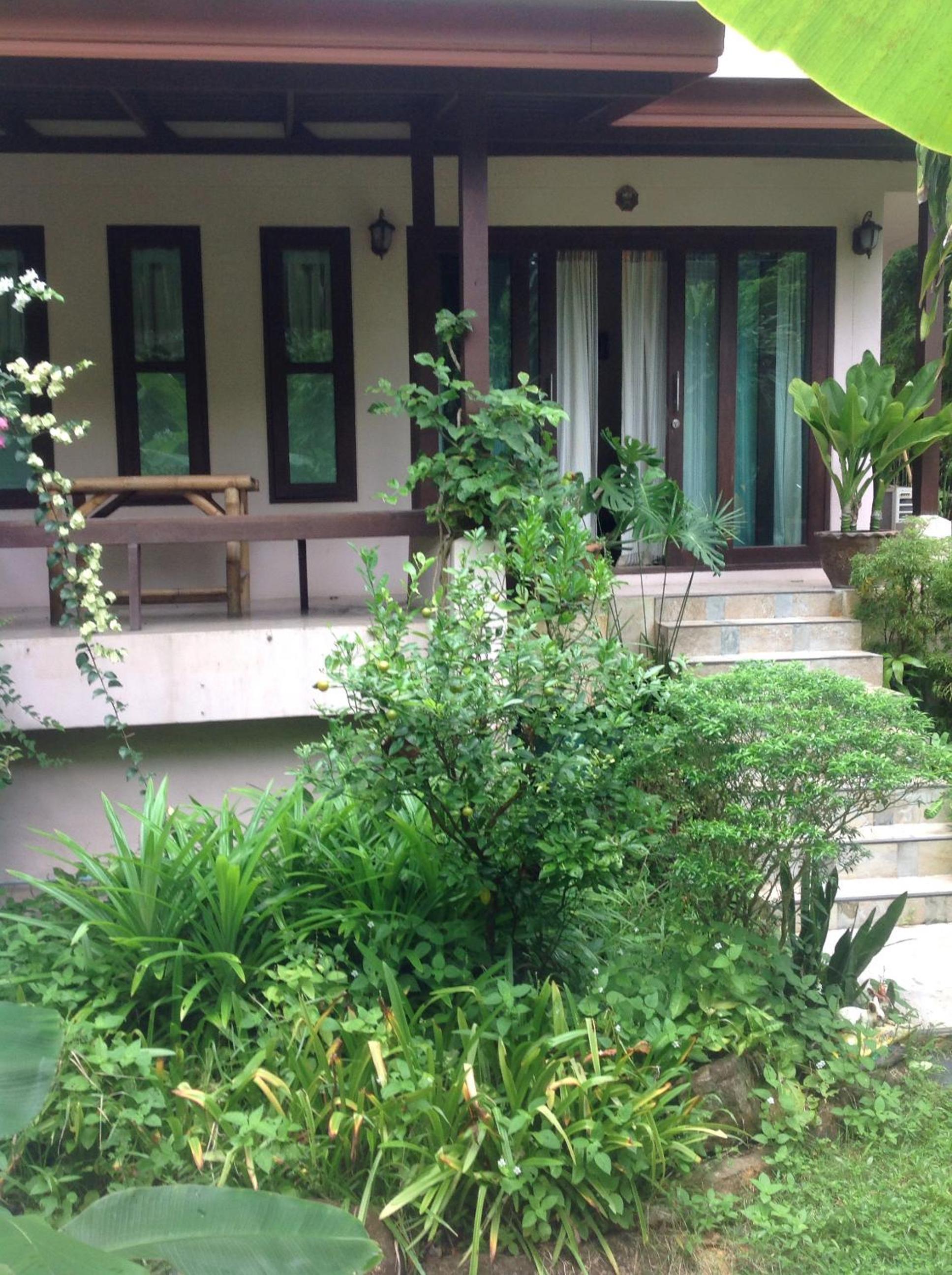Studio with Terrace photo 3