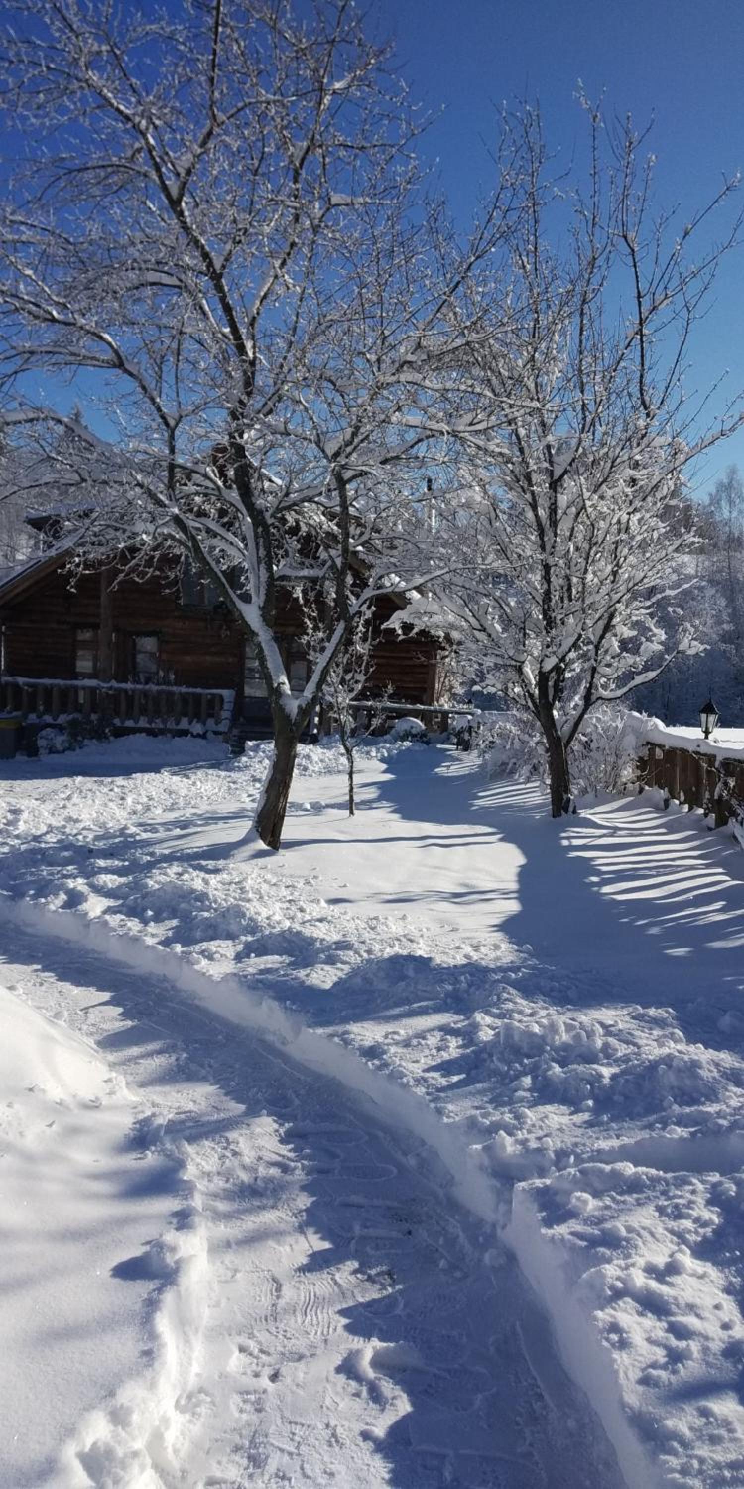 Vacation Home photo 2