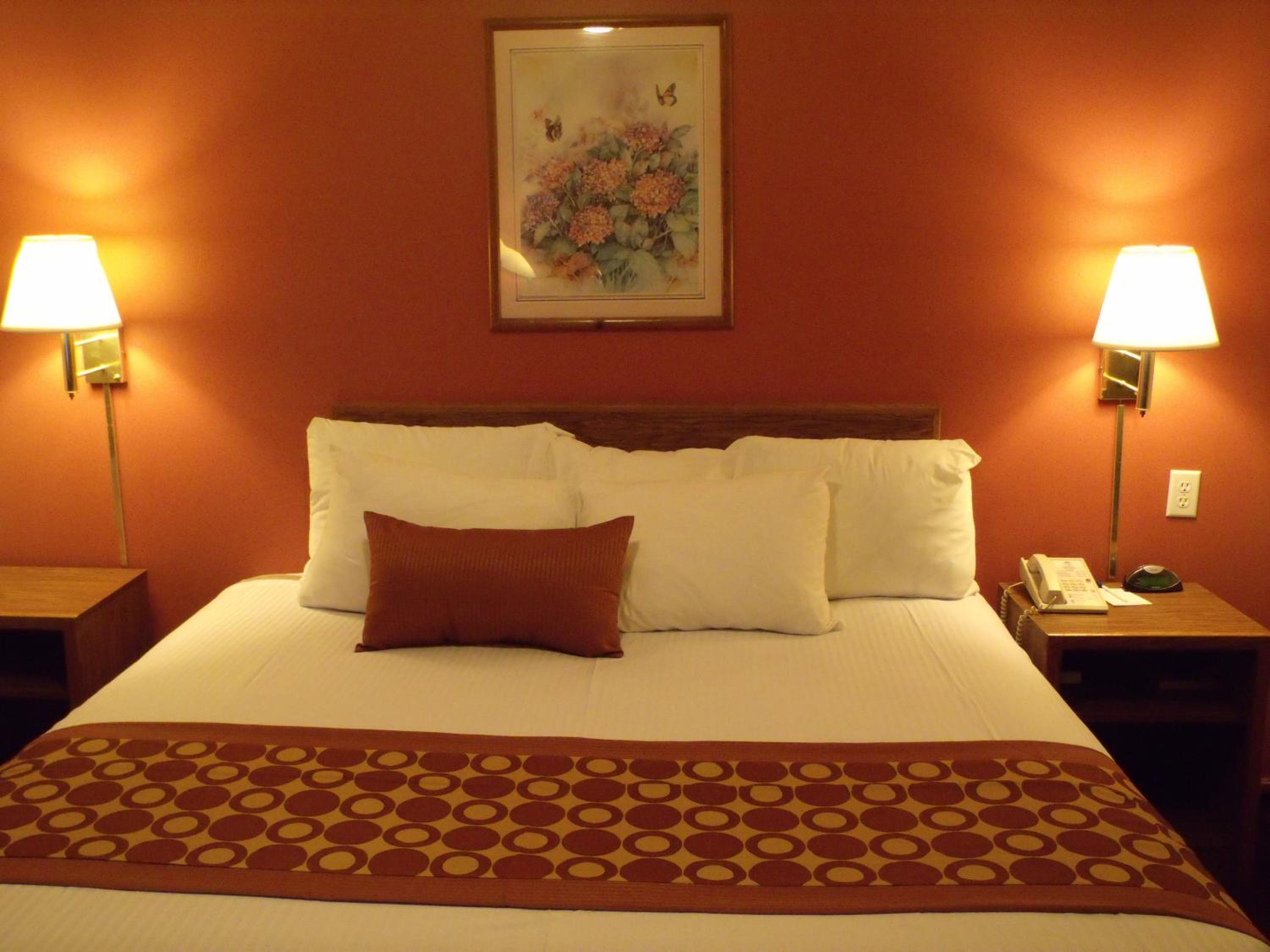 King Room - Photo 5