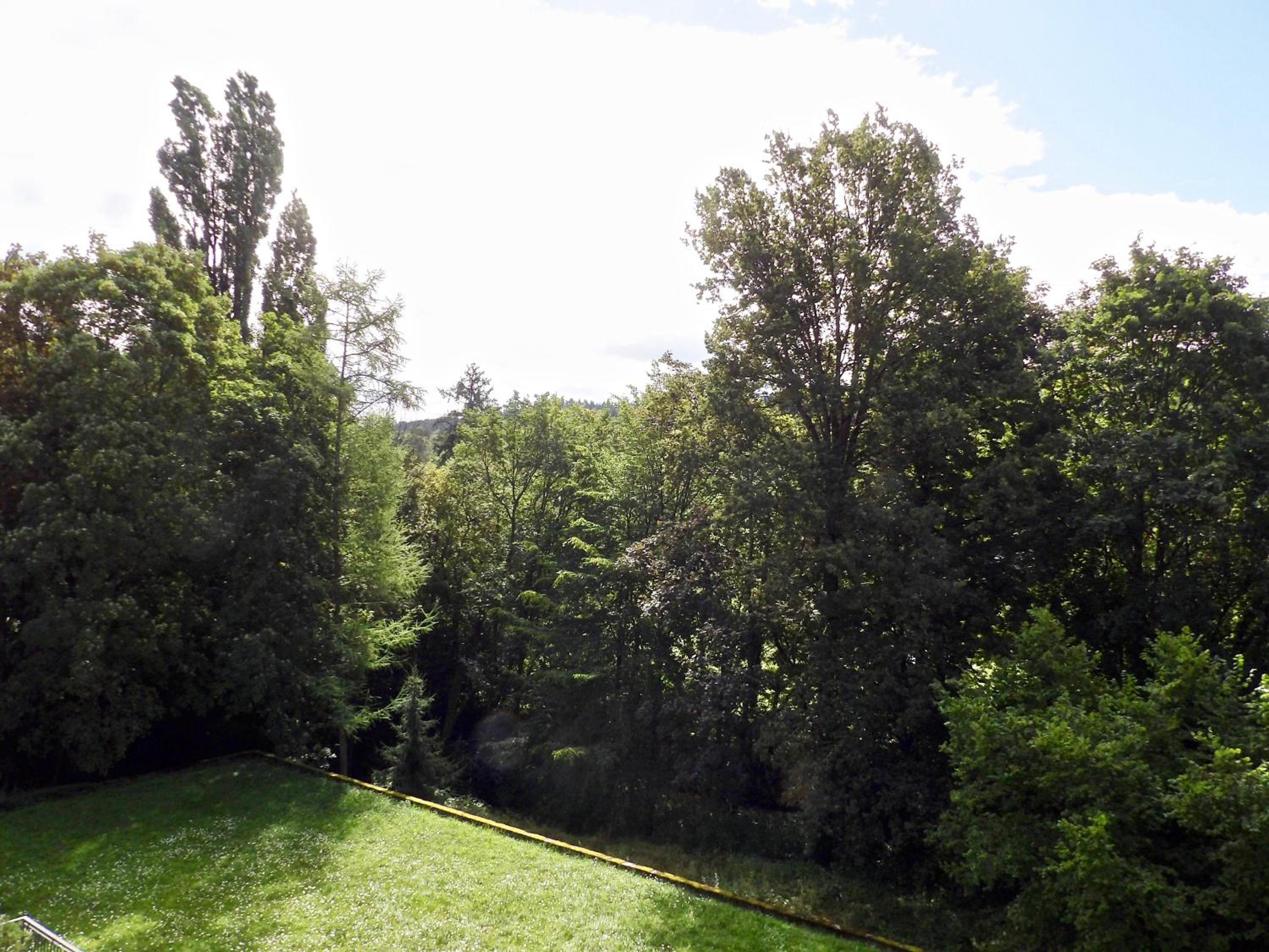 Apartment with Balcony photo 2